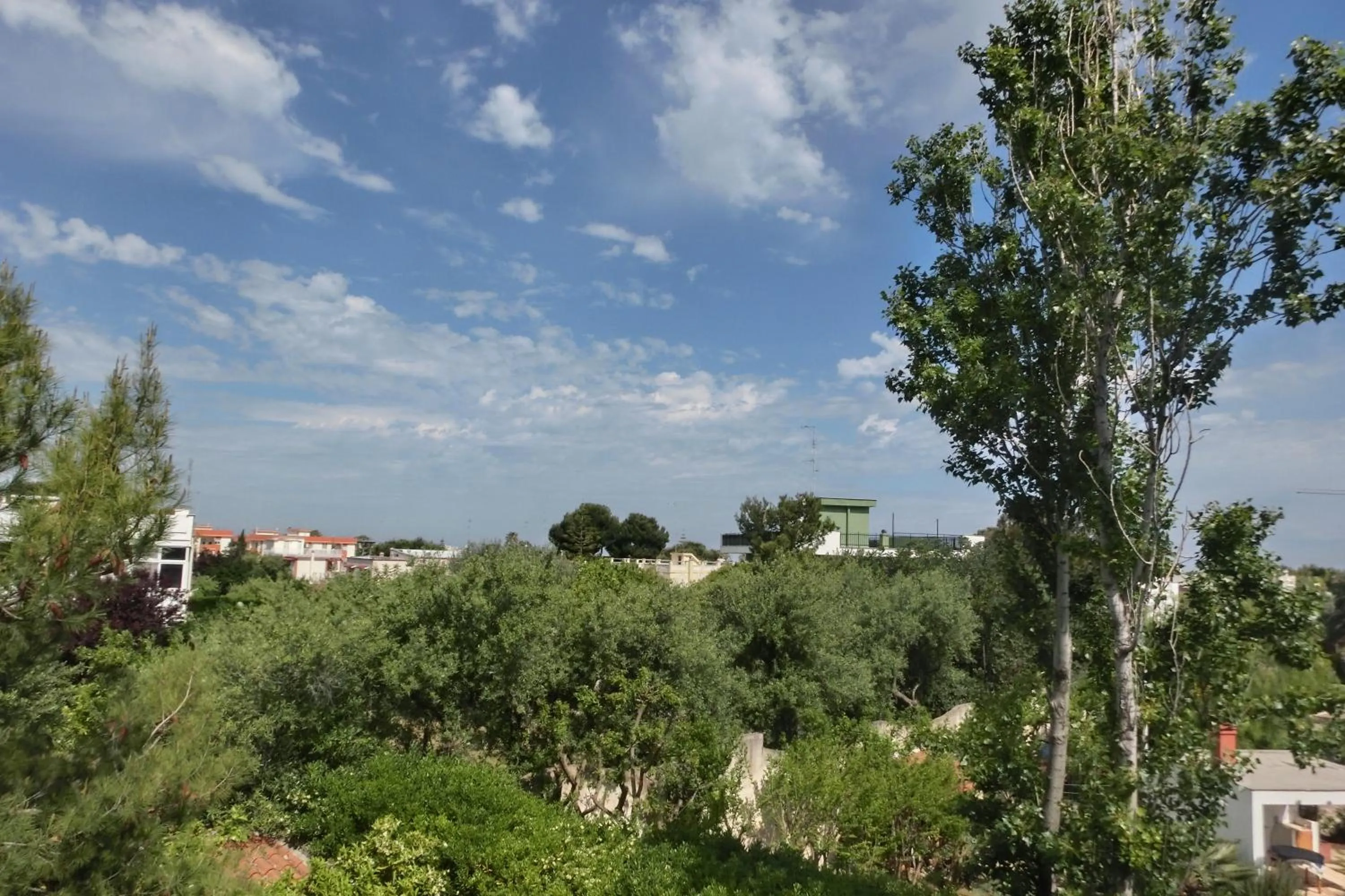 View (from property/room) in Annavi