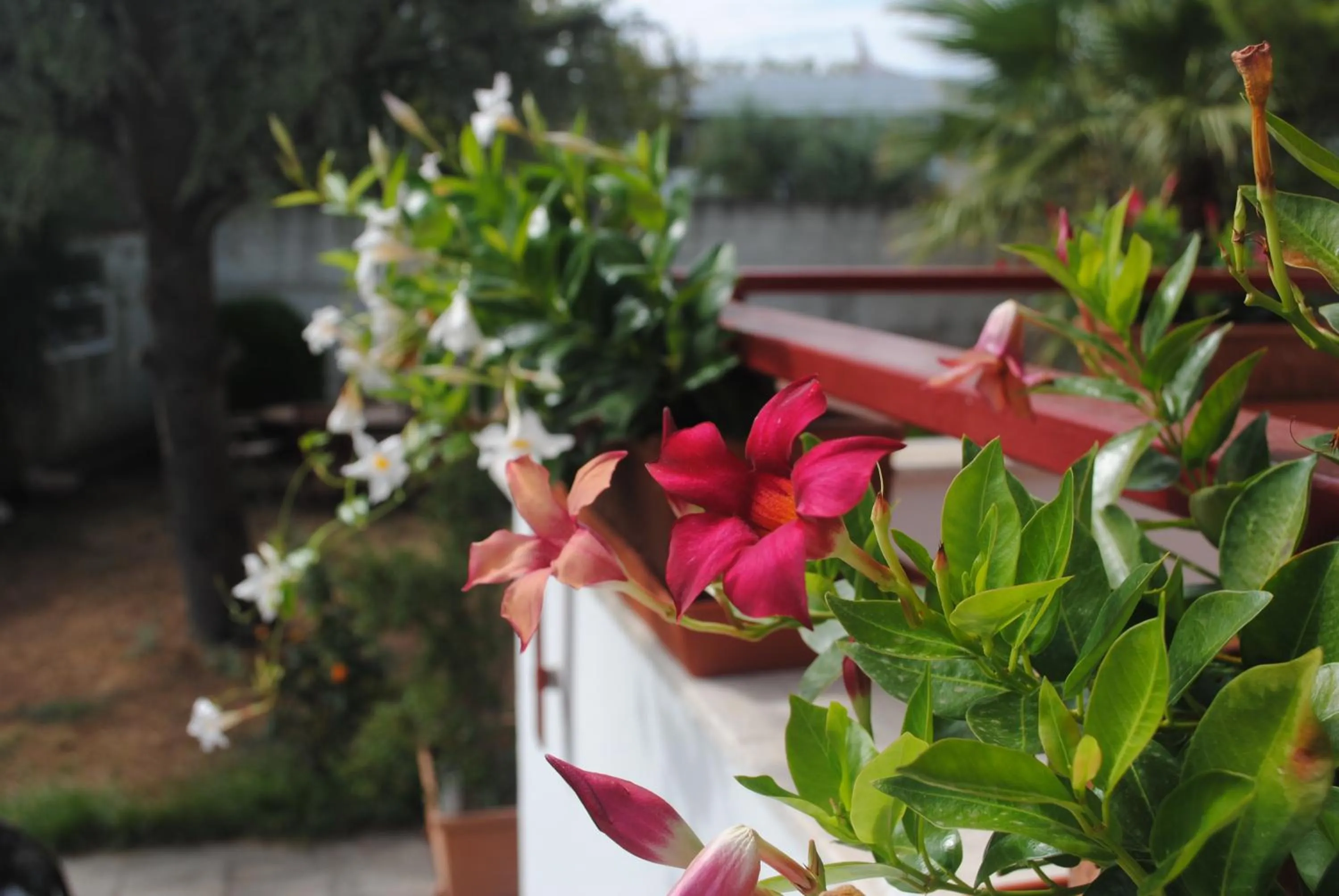 Decorative detail in Annavi