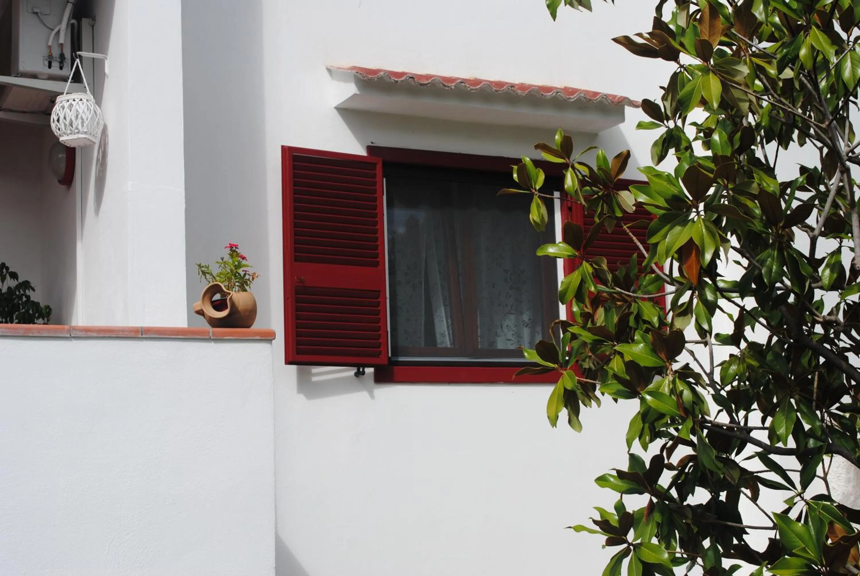 Bird's eye view in Annavi