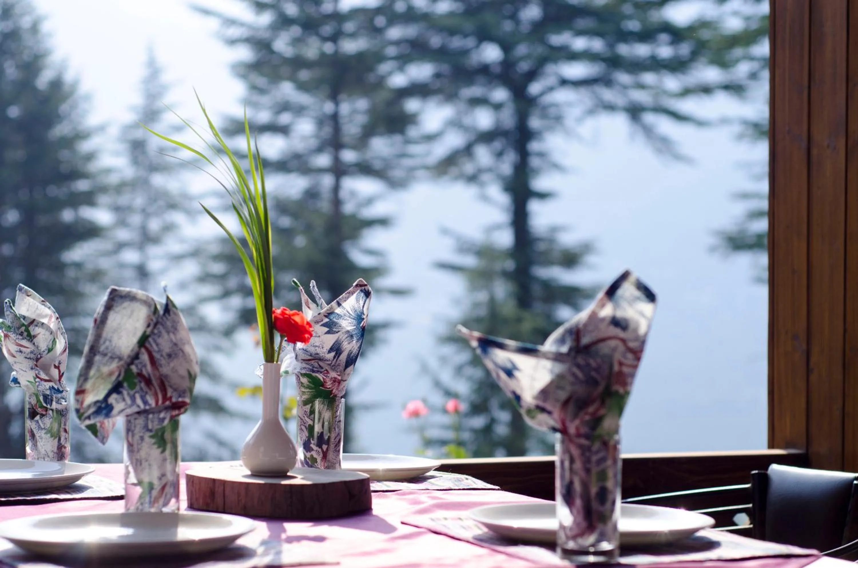Restaurant/places to eat in Heritage Satikva Resorts and Spa