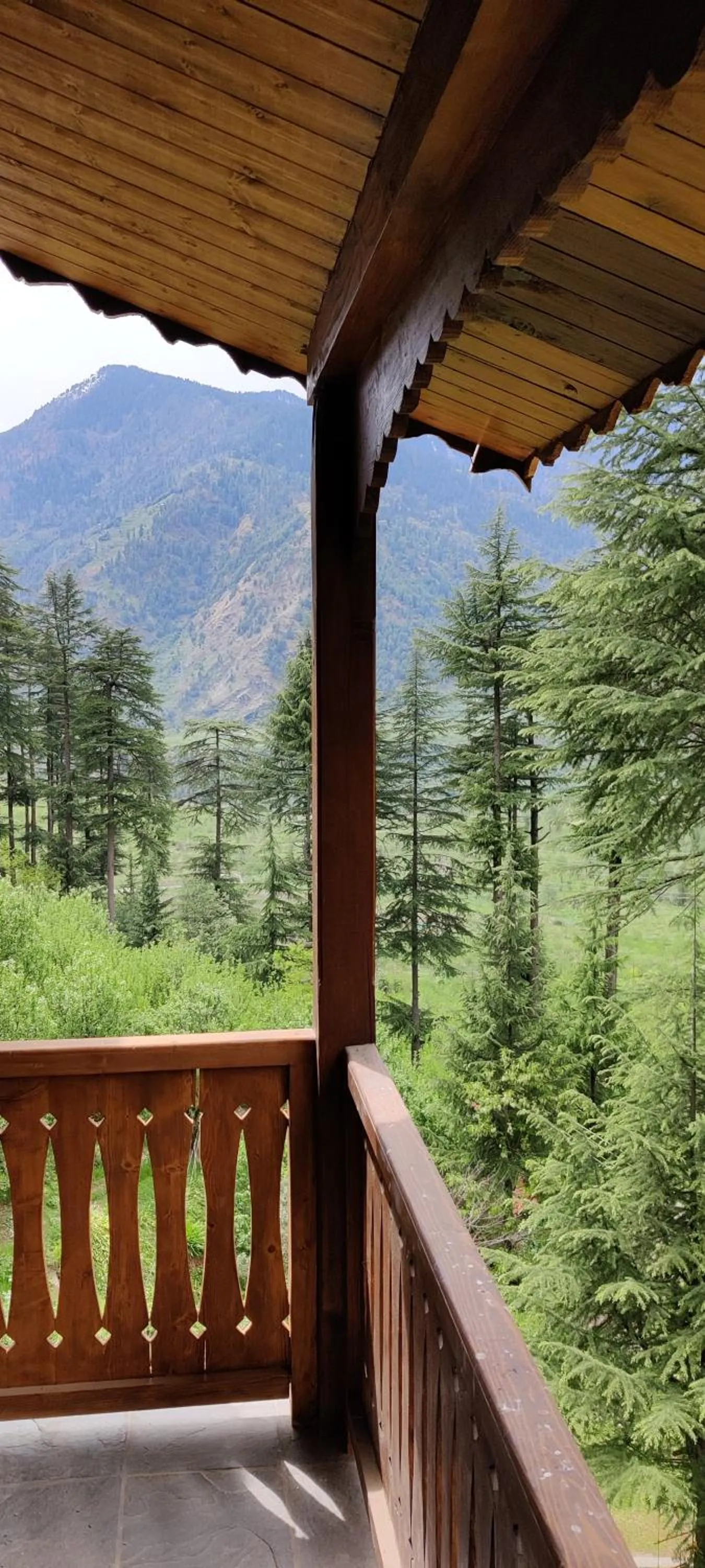 Spring in Heritage Satikva Resorts and Spa
