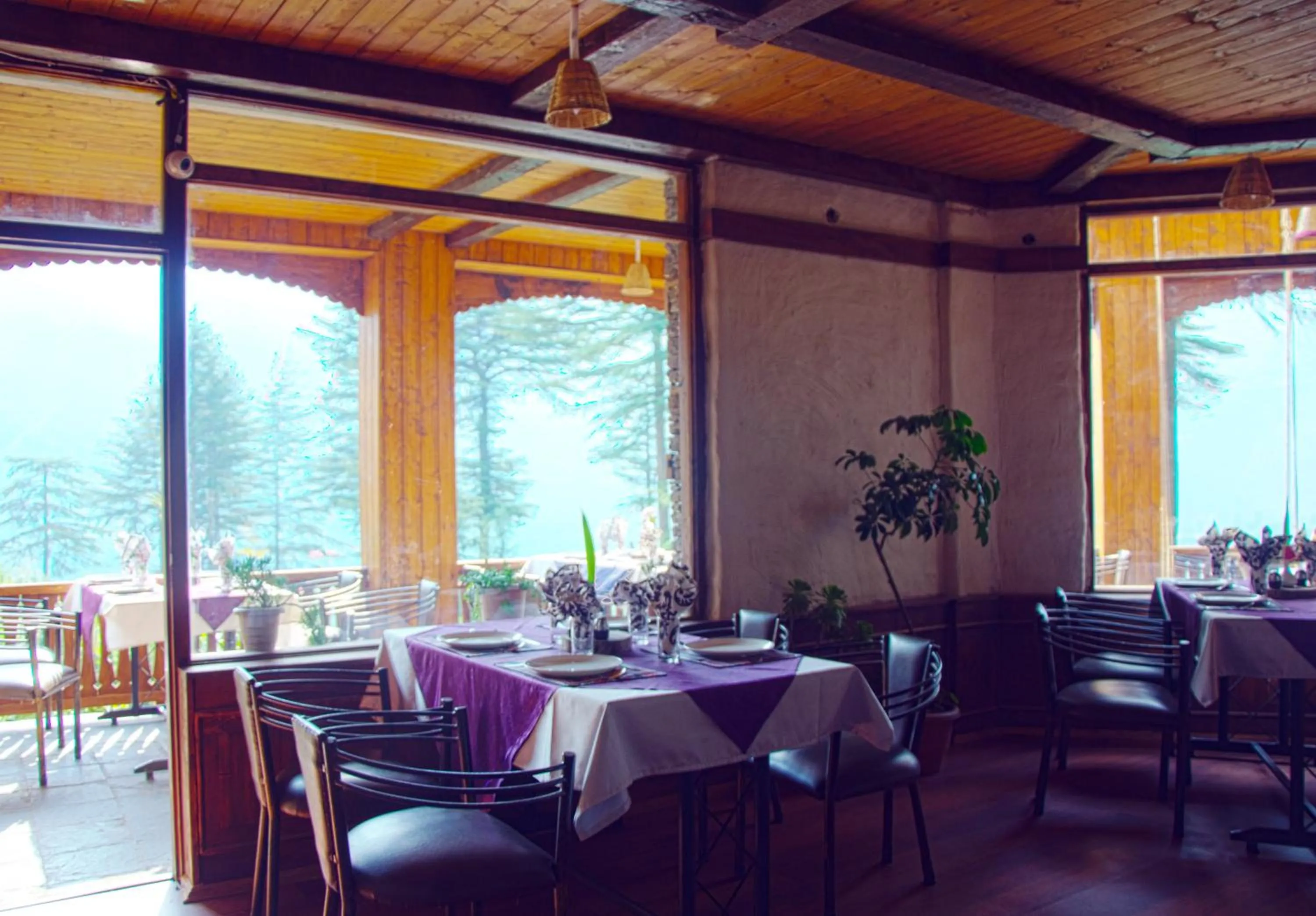 Restaurant/places to eat in Heritage Satikva Resorts and Spa