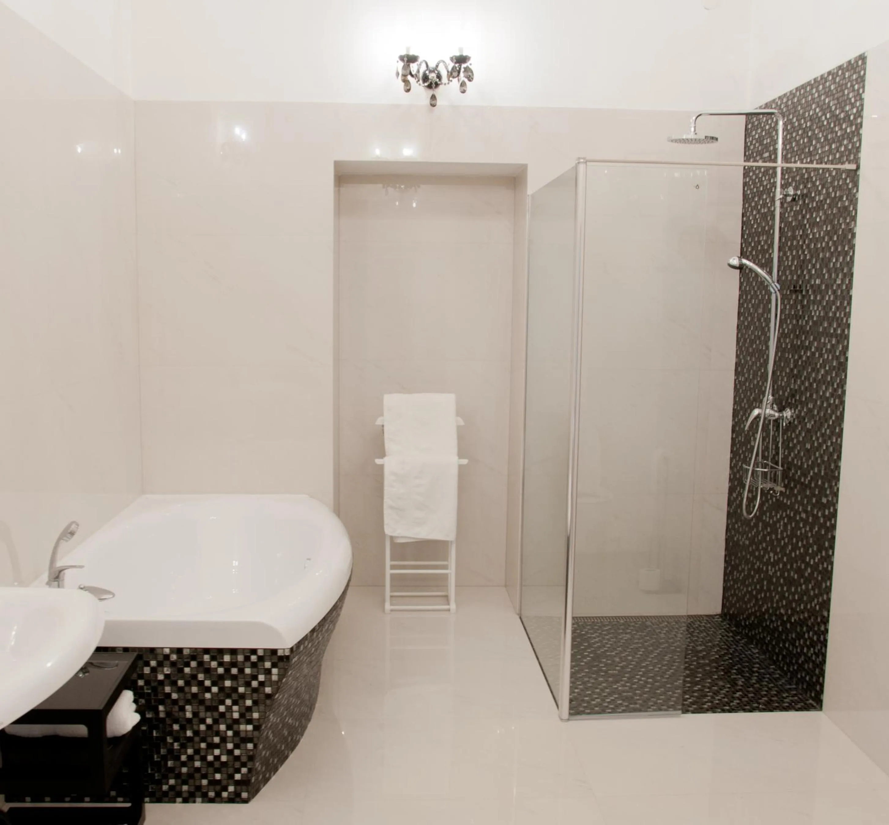 Shower in Zámek Jeseník Nad Odrou