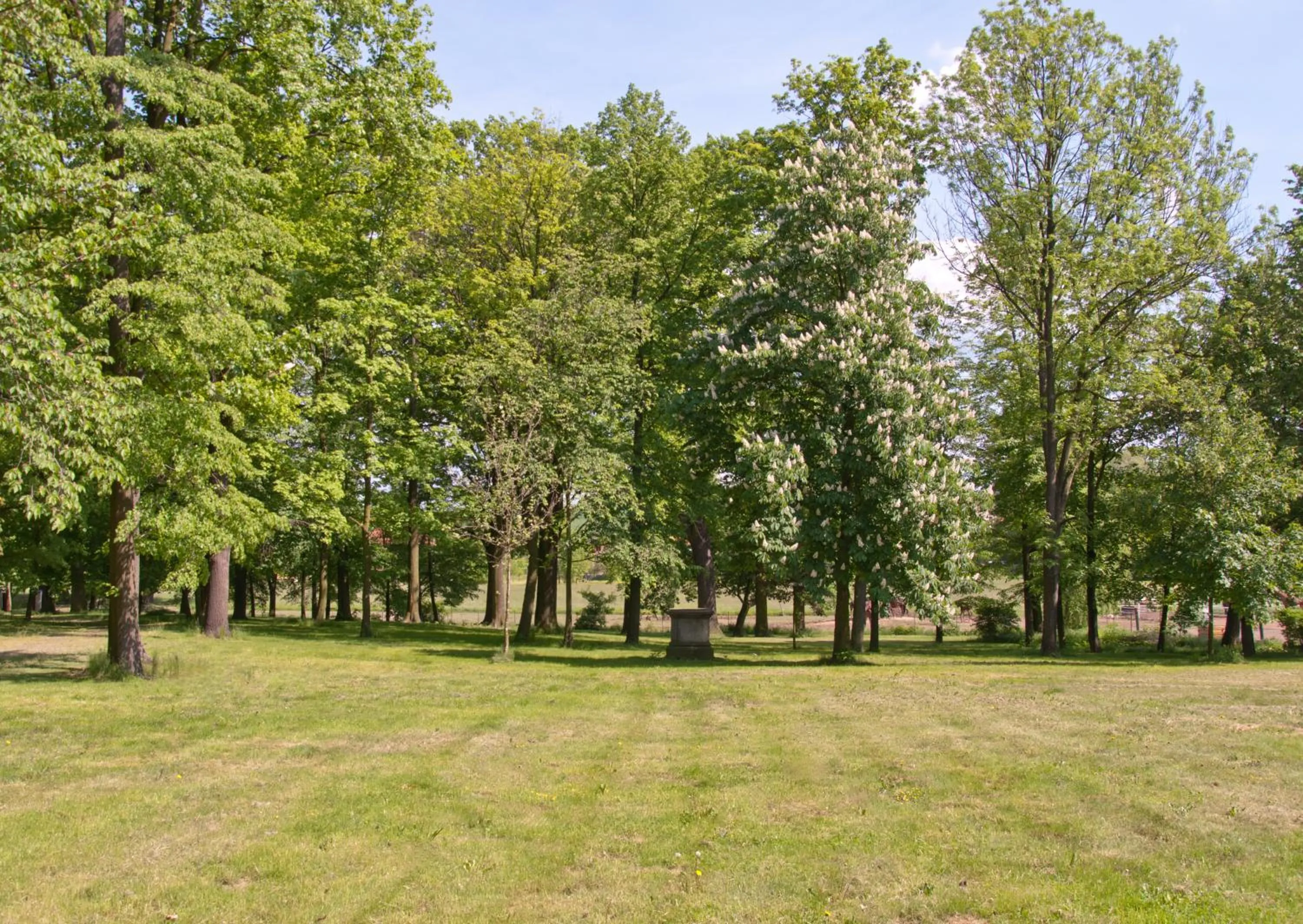 View (from property/room) in Zámek Jeseník Nad Odrou