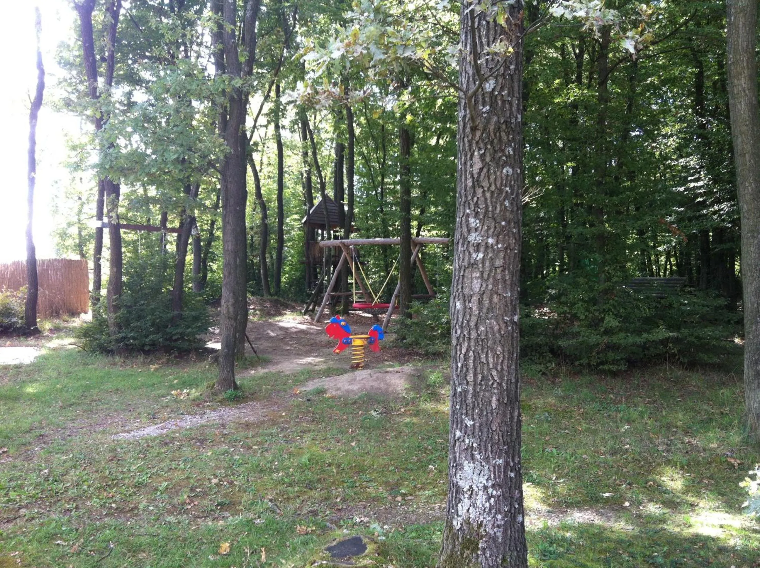 Area and facilities in Gasthof zur Grenze