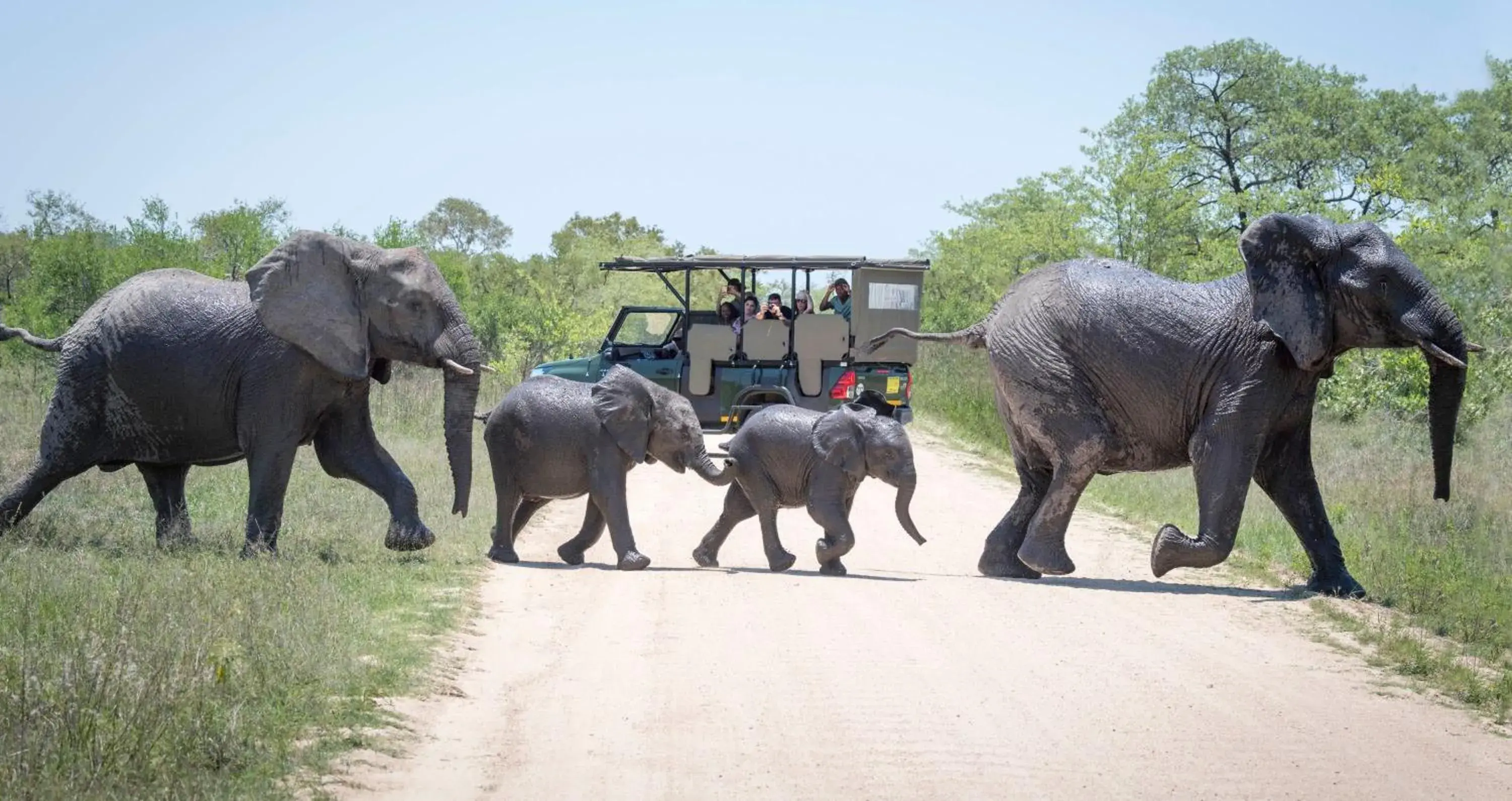 Activities in ANEW Resort Hazyview Kruger Park Activities in ANEW Resort Hazyview Kruger Park