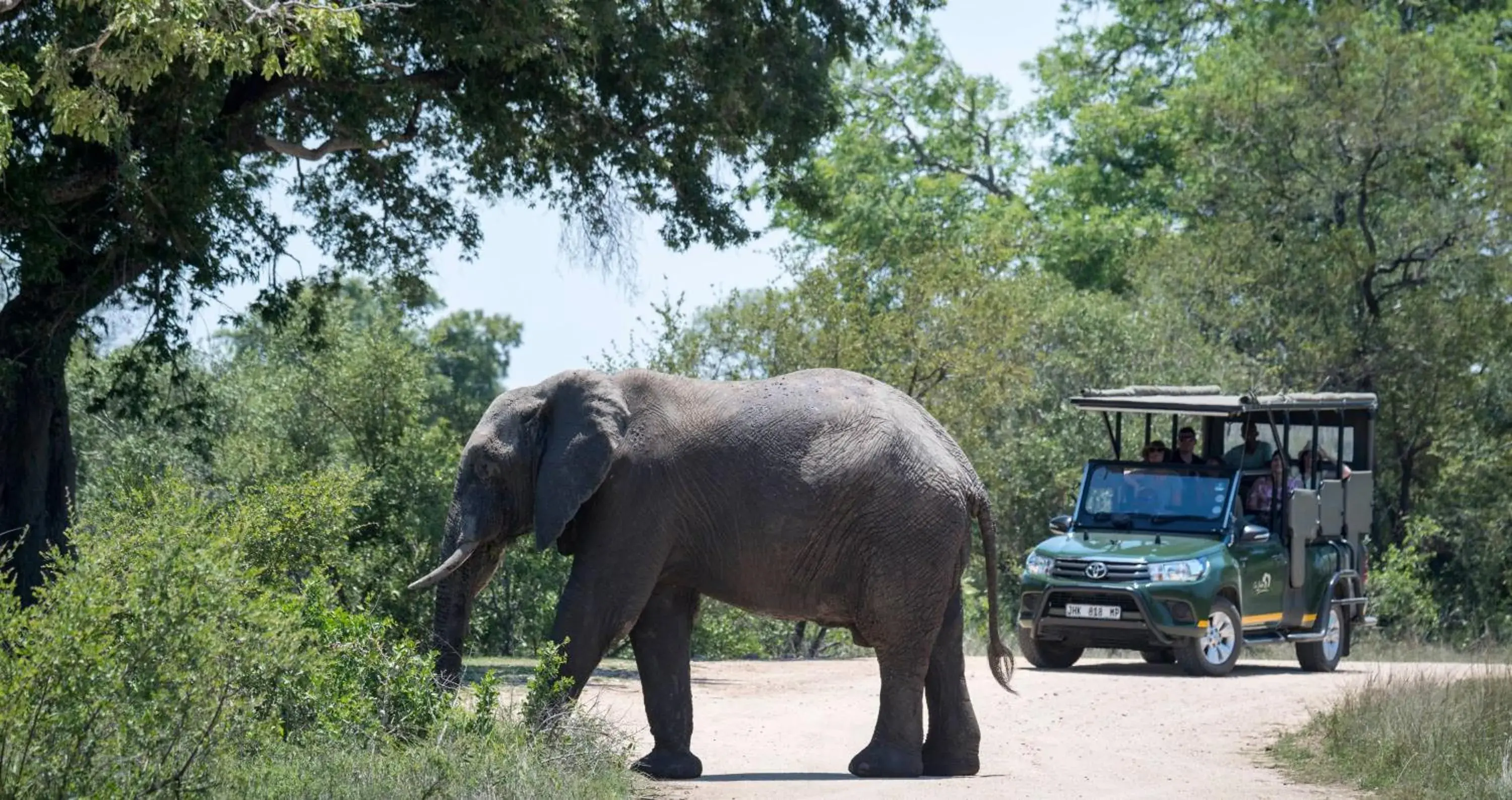 Activities in ANEW Resort Hazyview Kruger Park Activities in ANEW Resort Hazyview Kruger Park