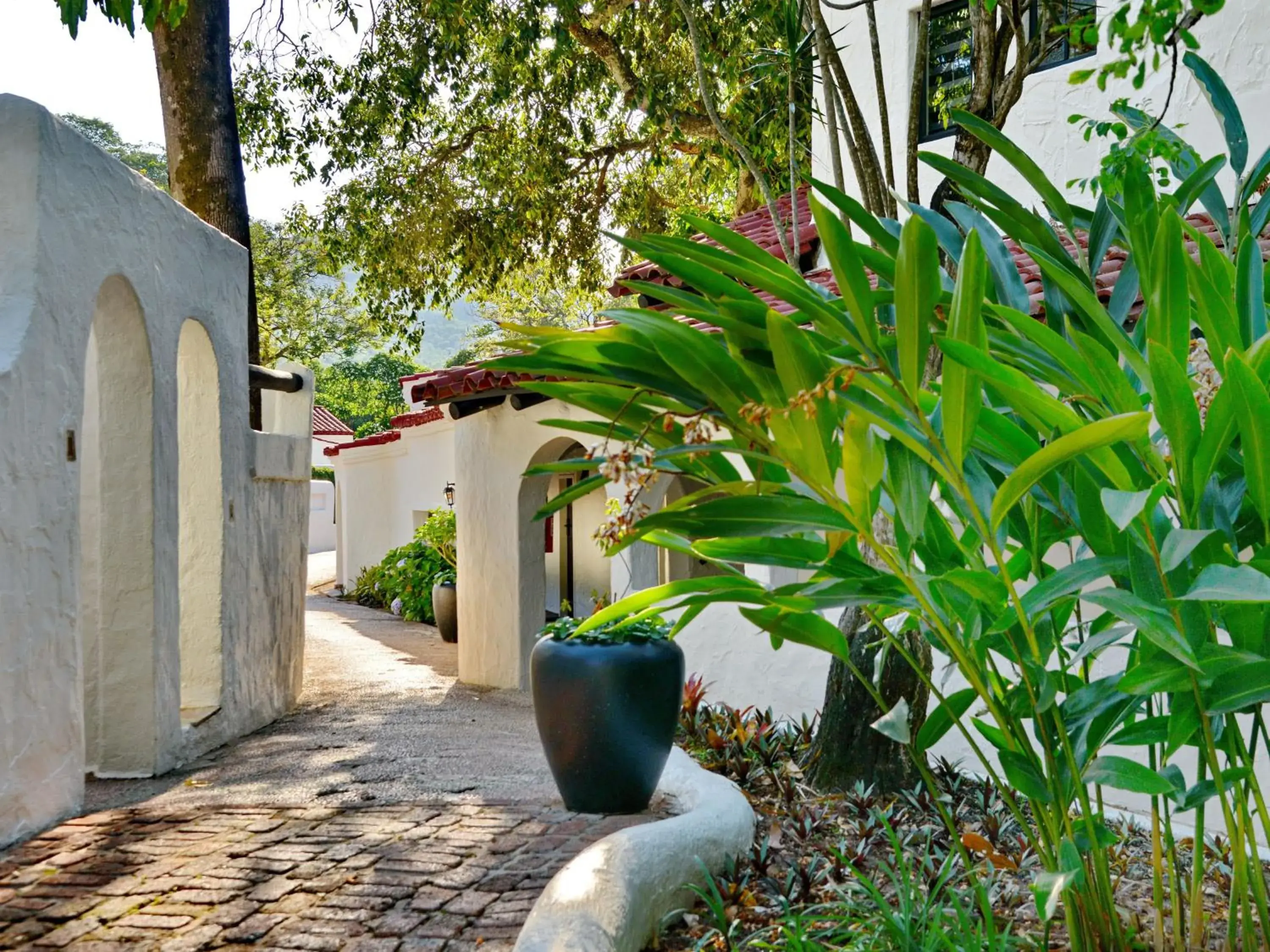 Garden view in ANEW Resort Hazyview Kruger Park Garden view in ANEW Resort Hazyview Kruger Park