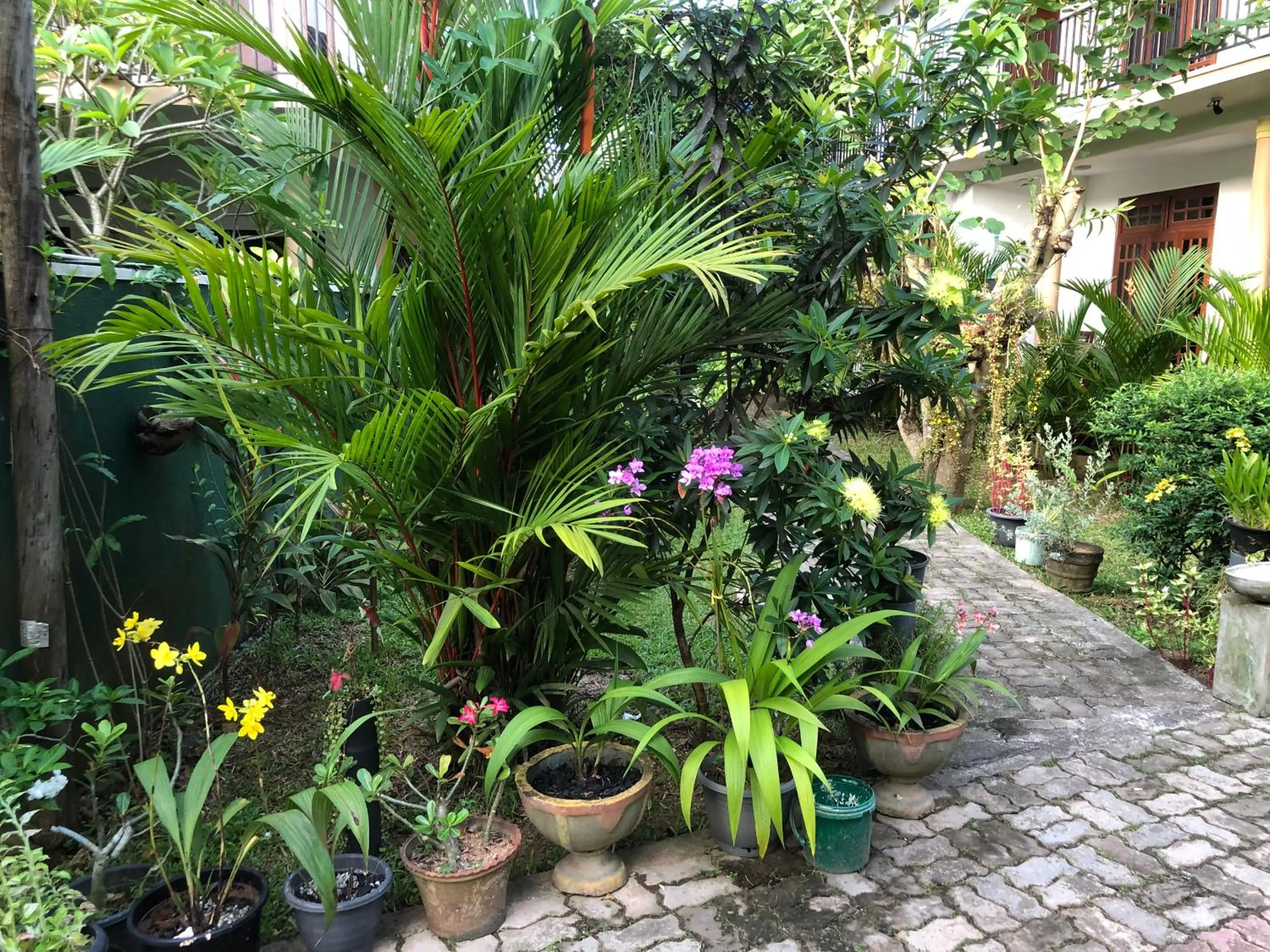 Coral Palm Villa and Apartment