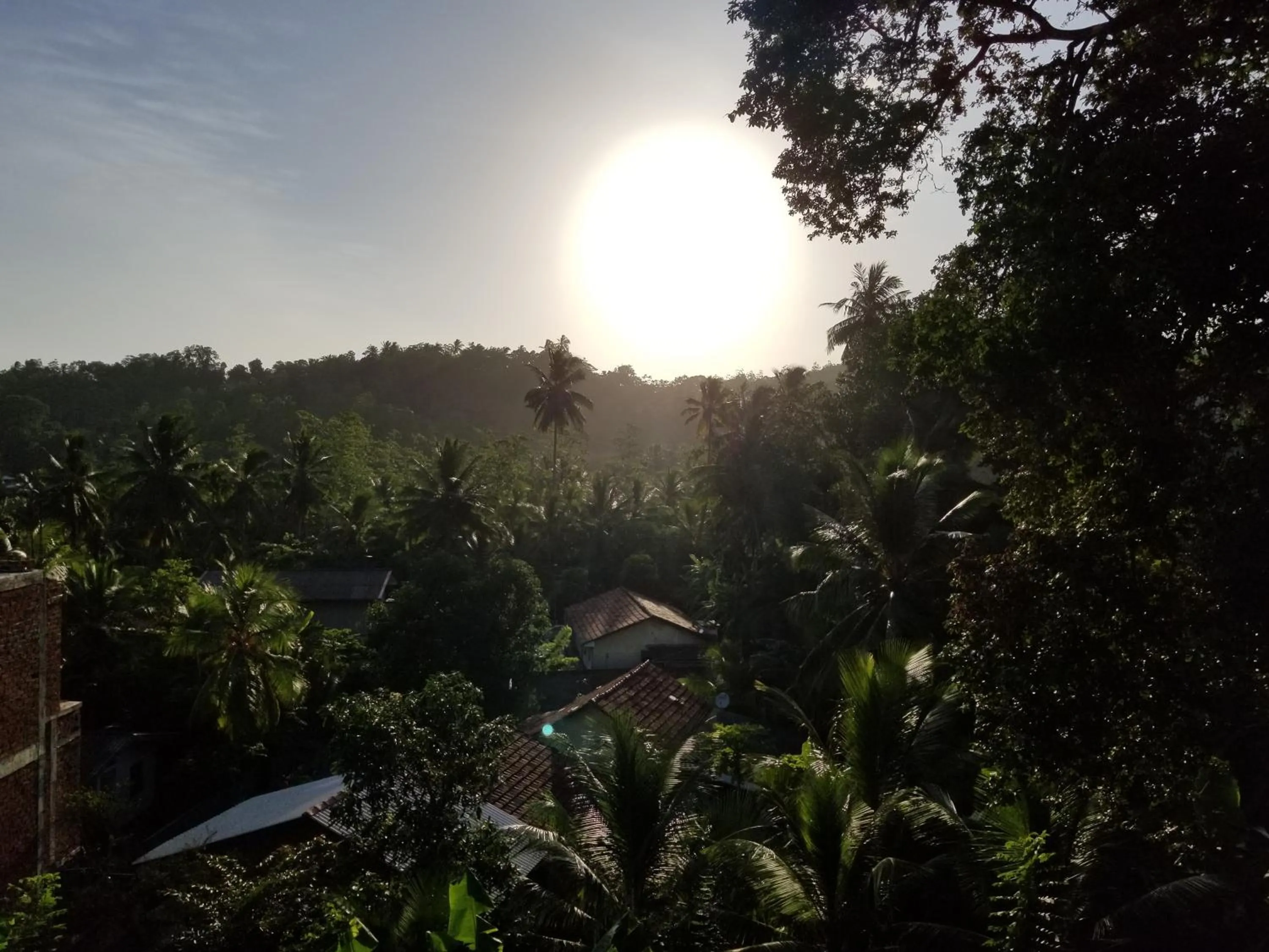 Natural landscape in Coral Palm Villa and Apartment