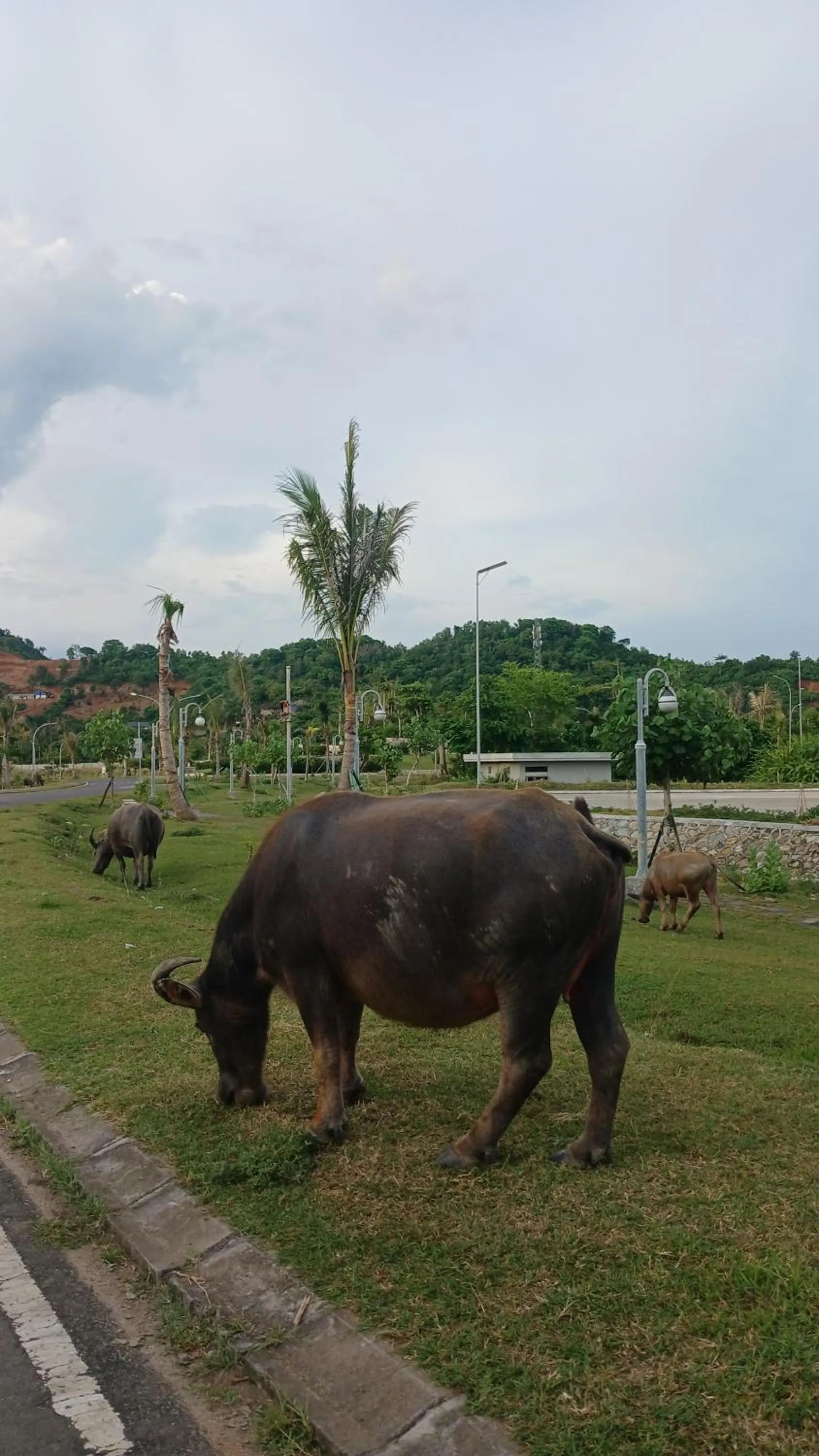 Roby Homestay