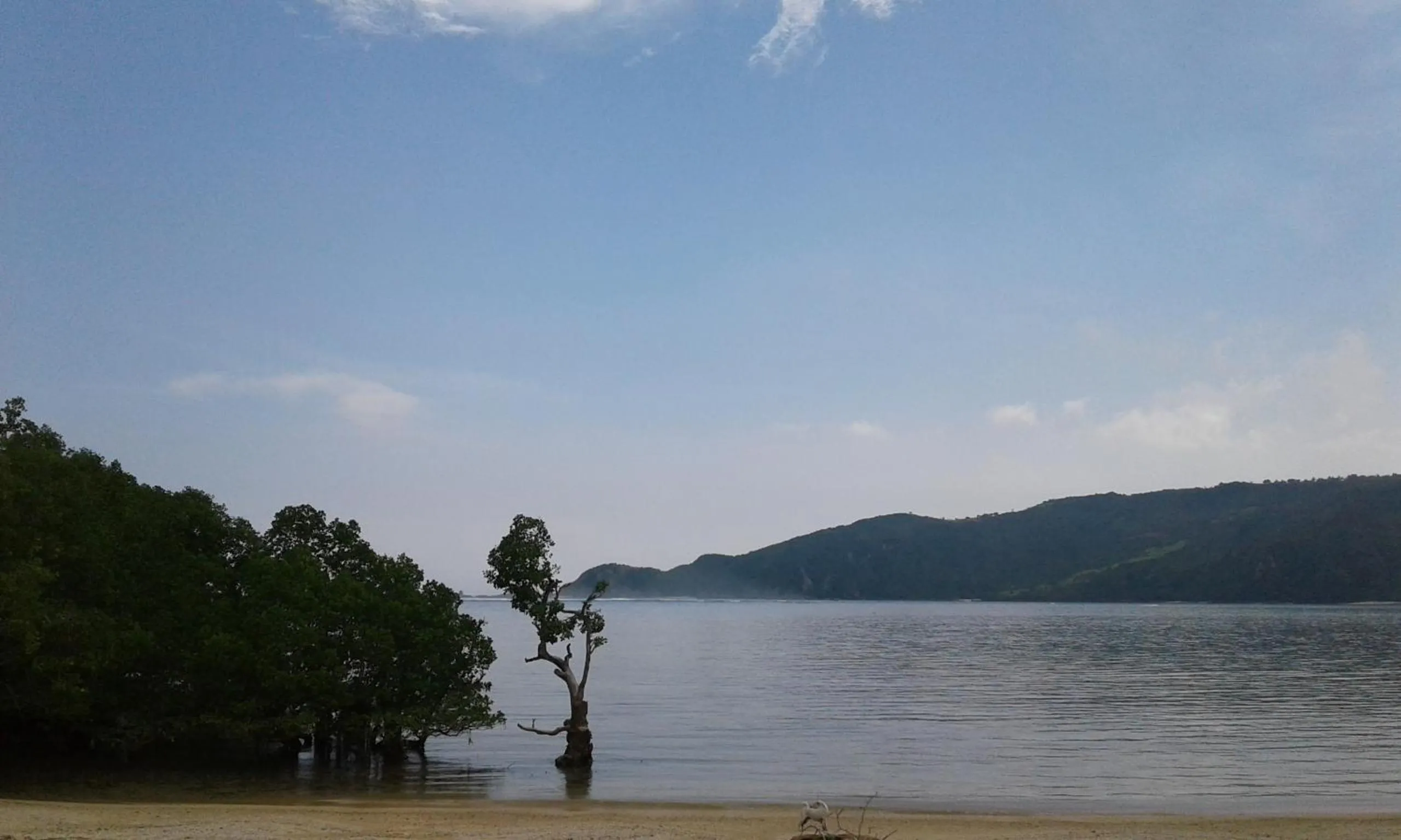 Beach in Roby Homestay