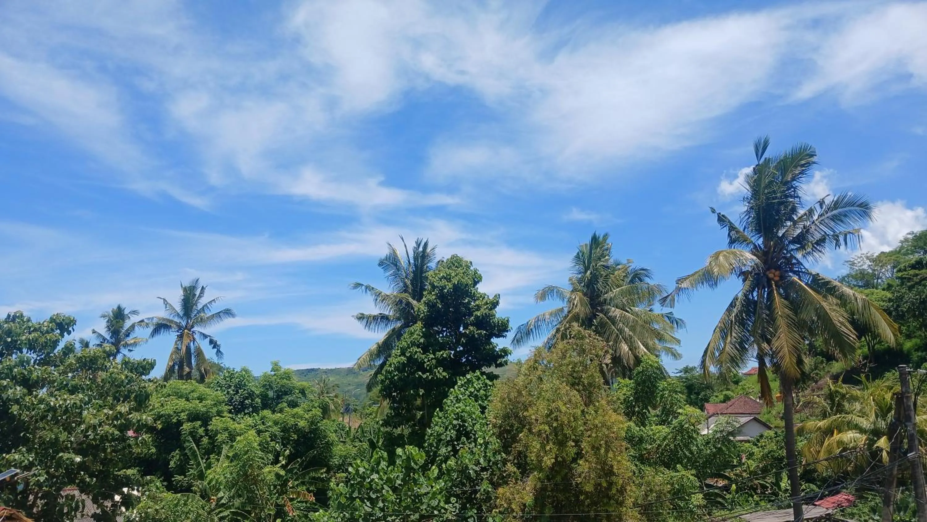 Roby Homestay
