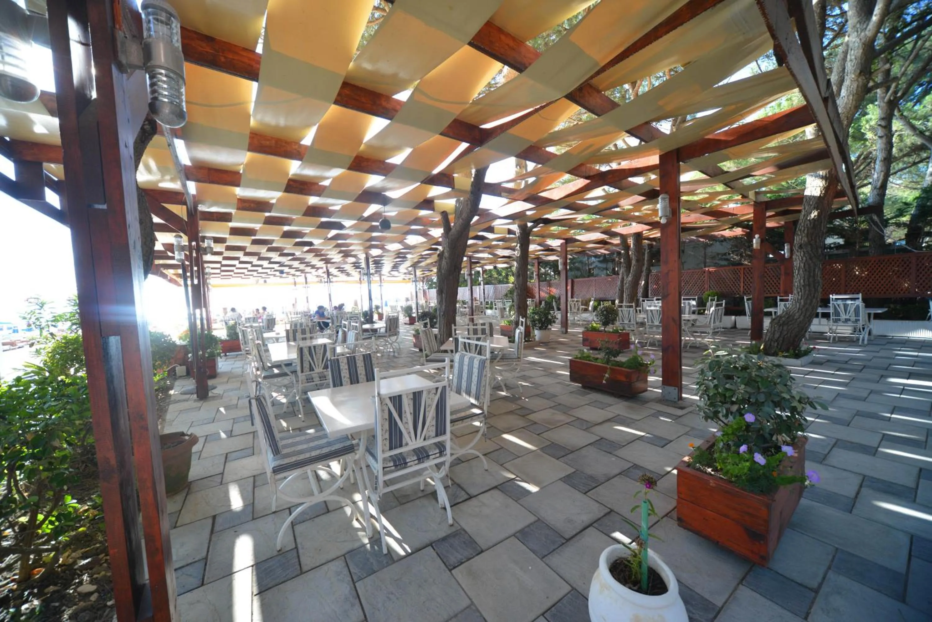 Lounge or bar in Hotel Elesio