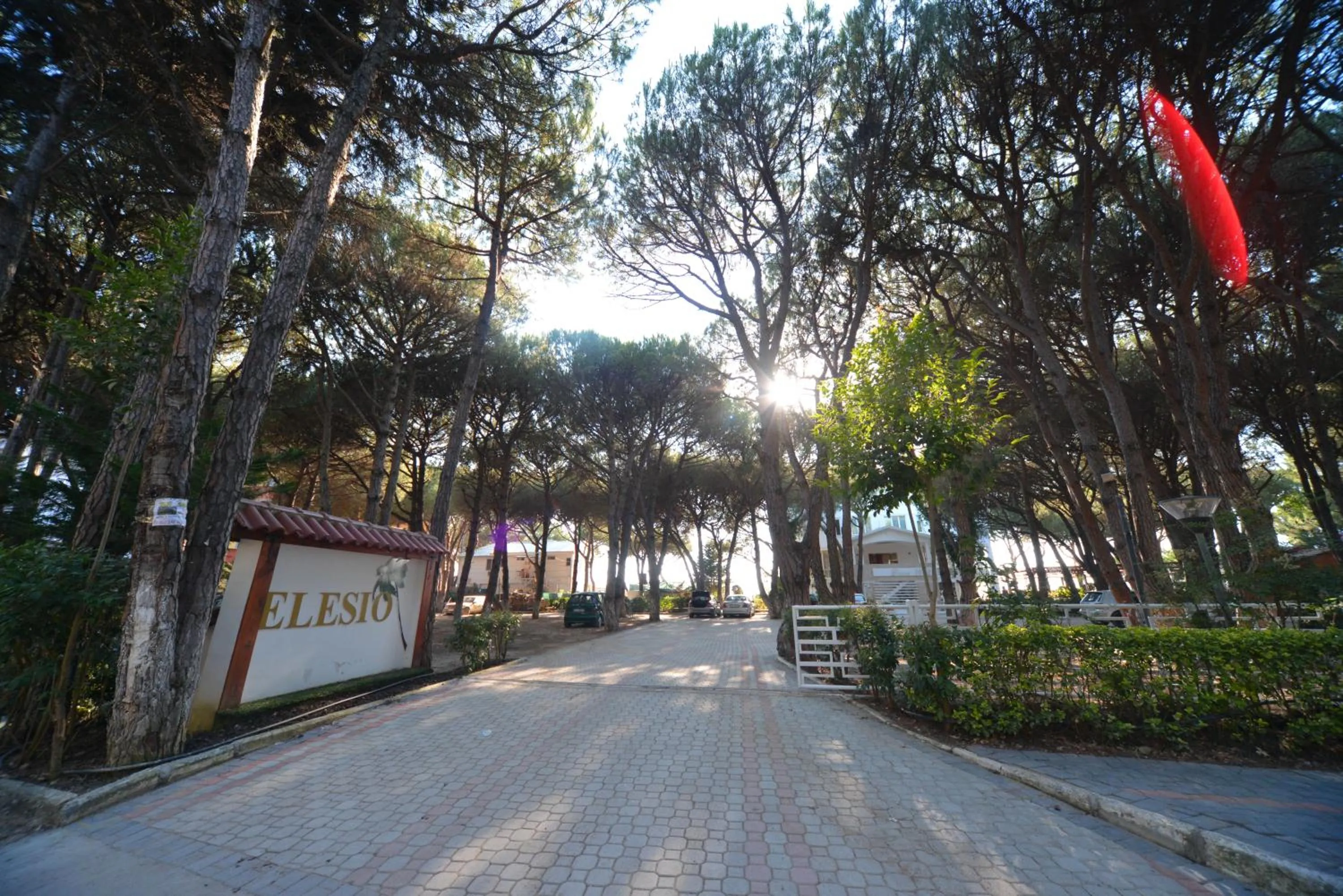 Certificate/Award in Hotel Elesio