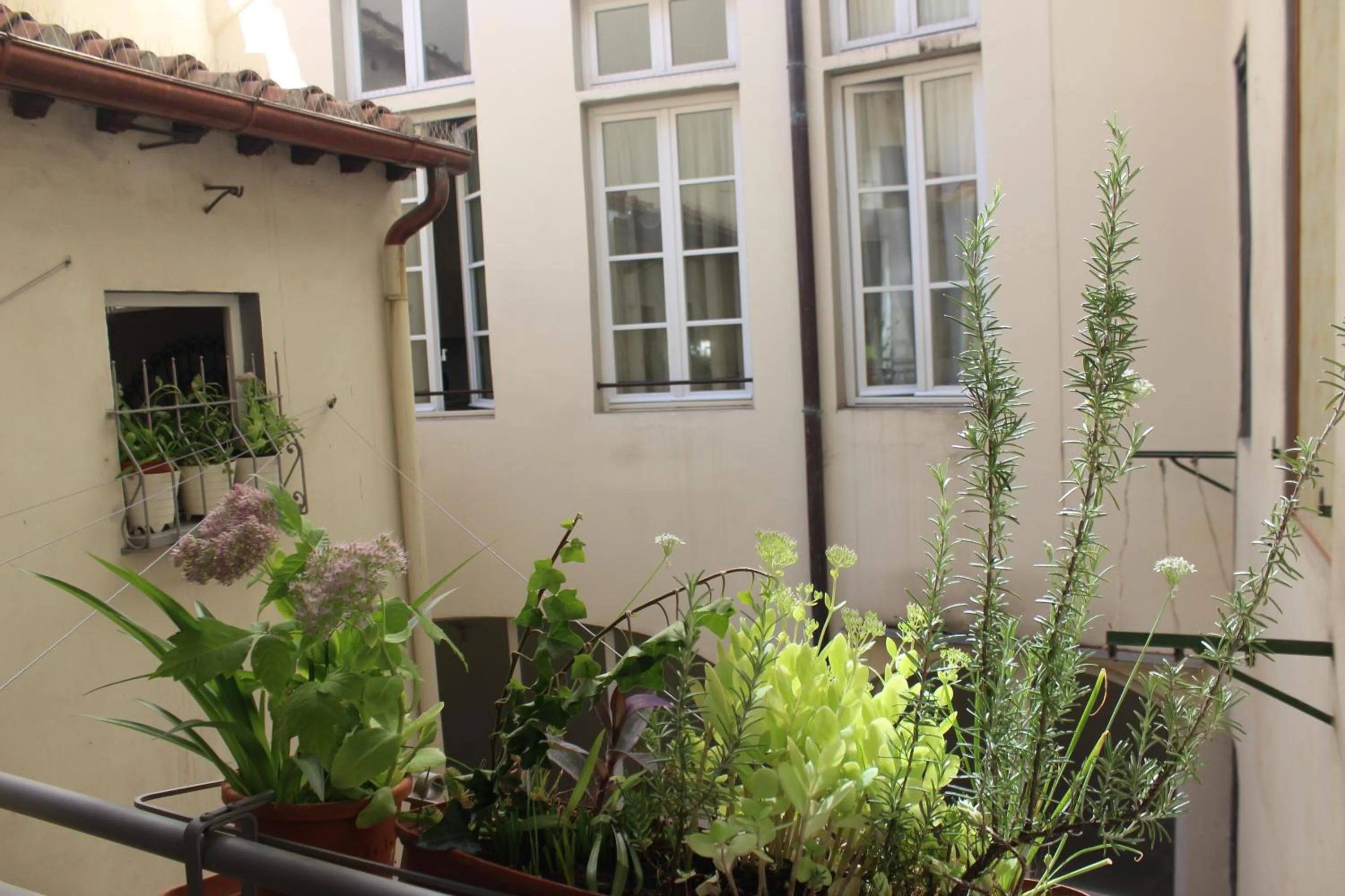 Inner courtyard view in Florence Pitti Loft