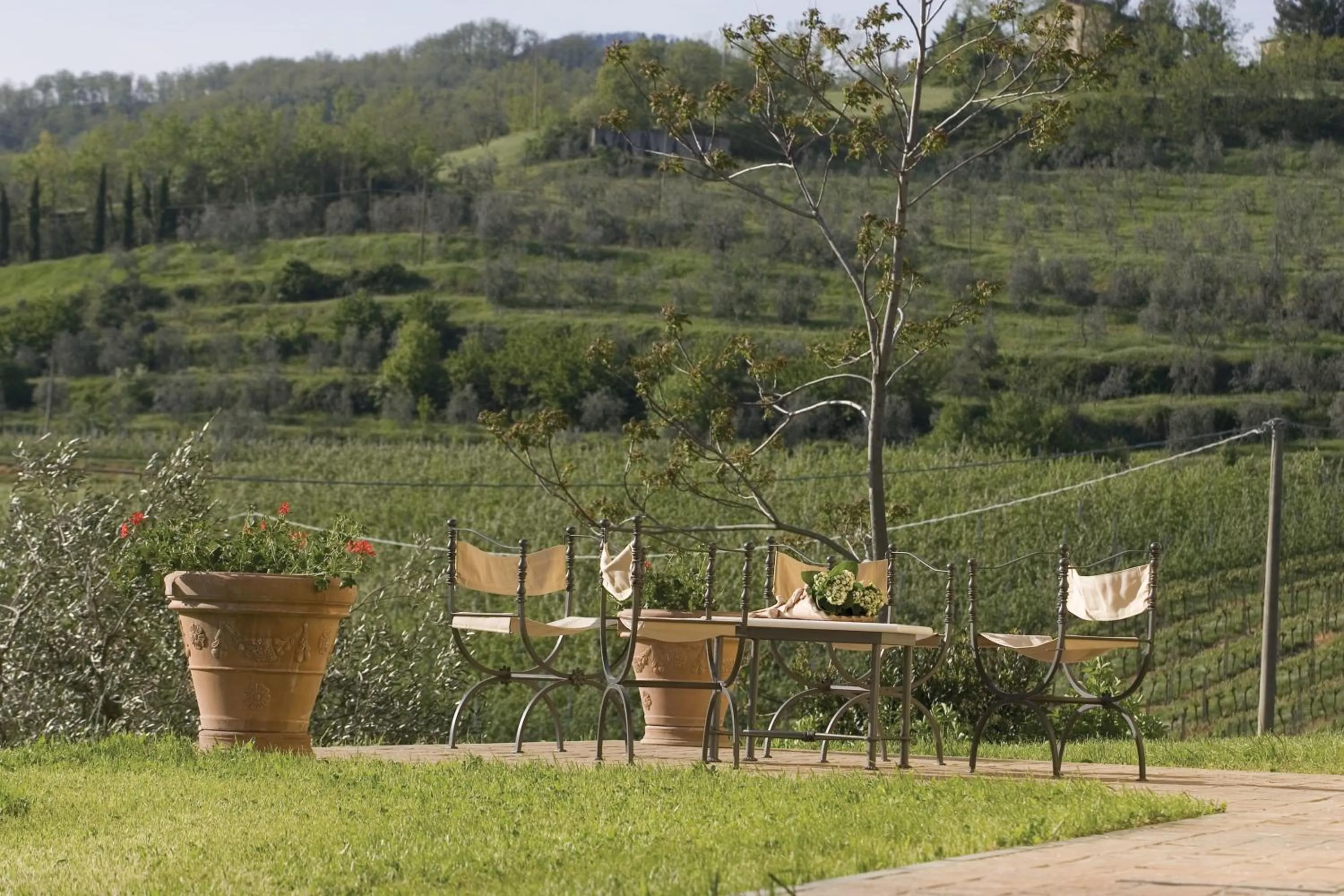 Tenuta il Cerro