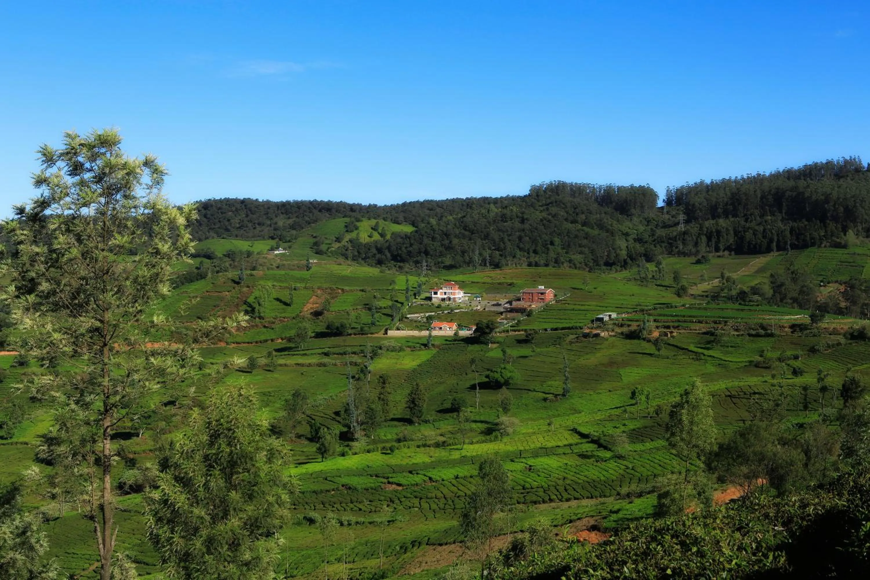 Natural landscape in Western Valley Resorts Ooty
