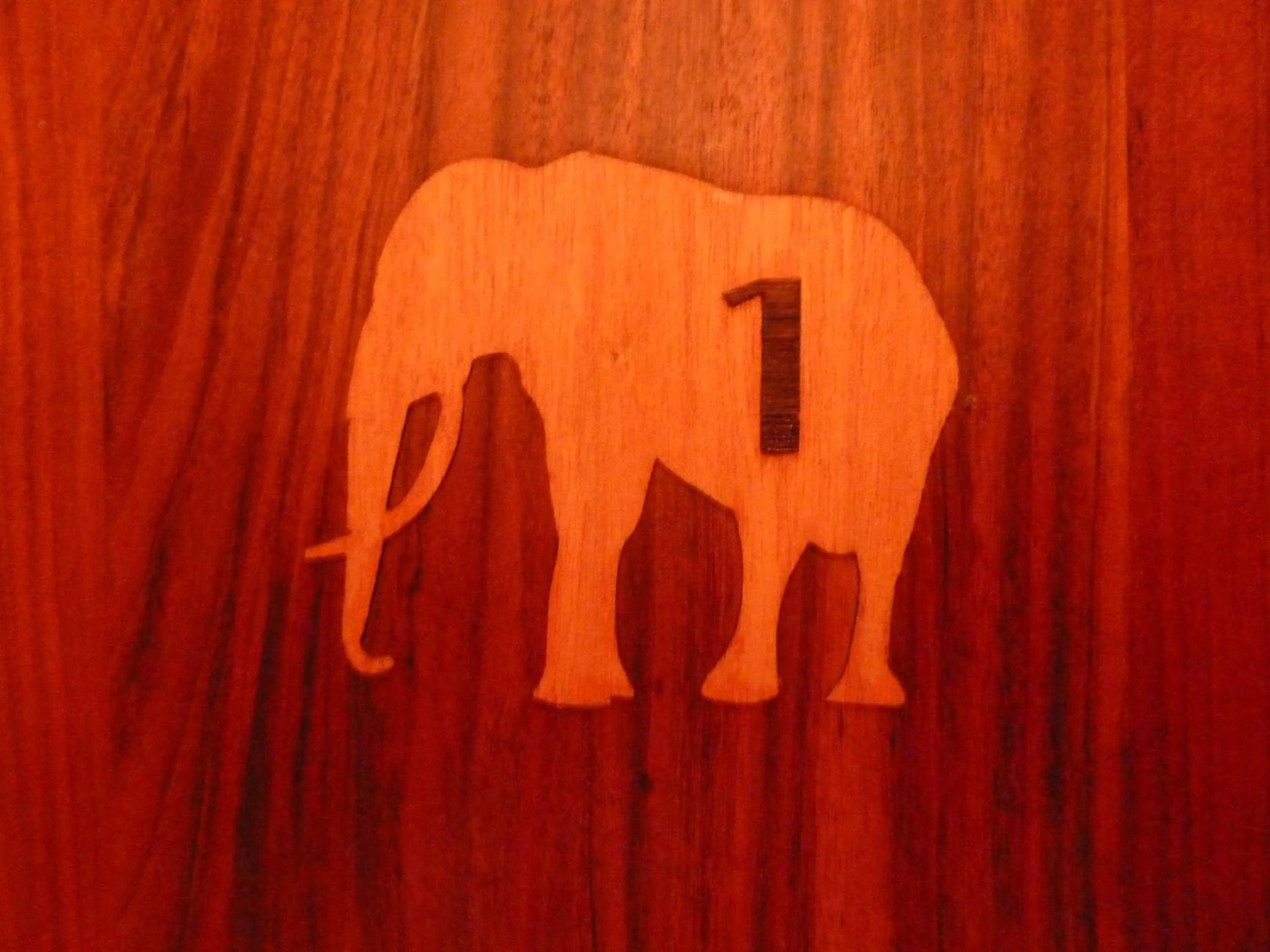 Logo/Certificate/Sign in Kactus Lodge