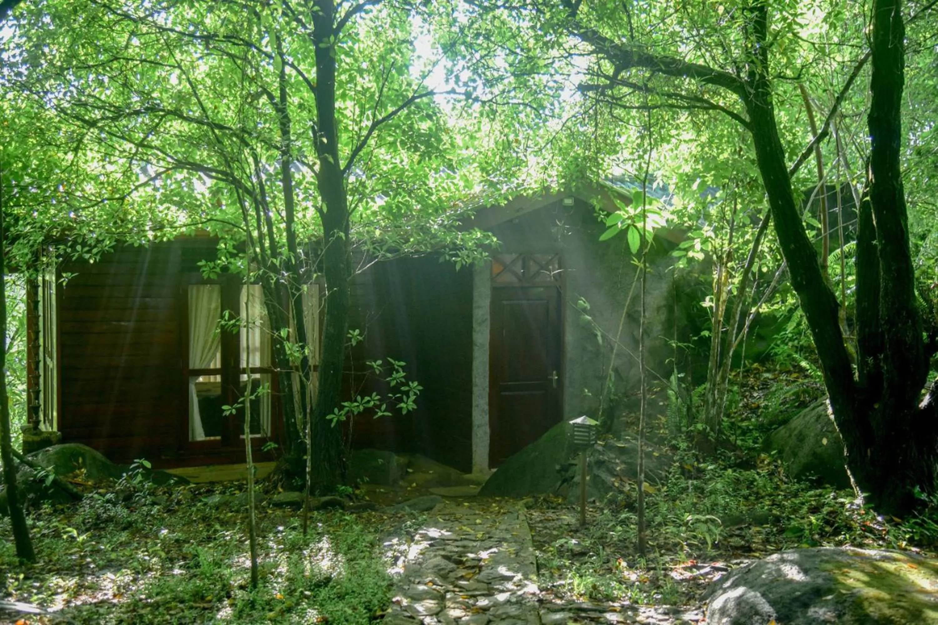 Chalet - single occupancy in Sinharaja Rest
