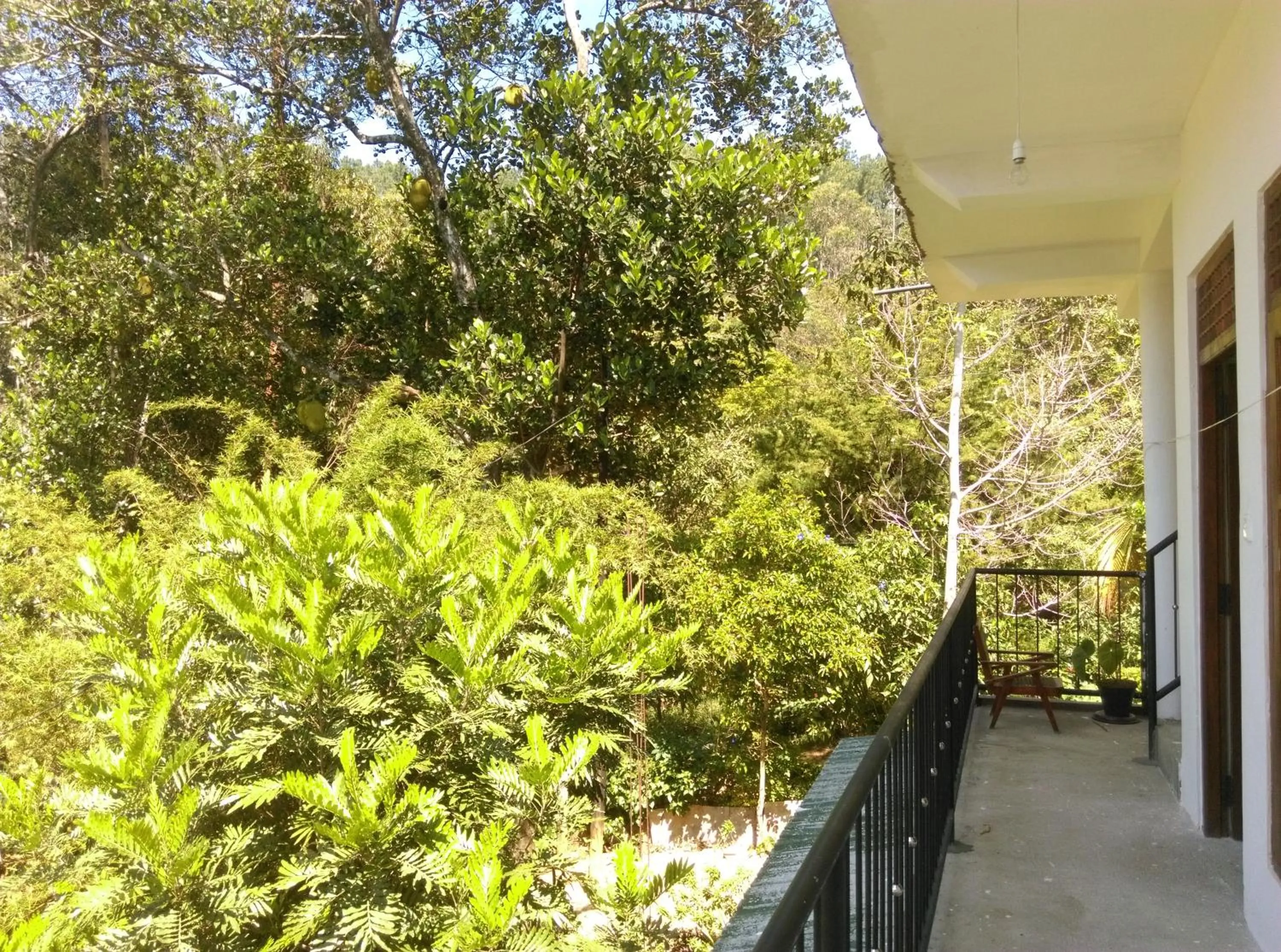 Balcony/Terrace in Mama Cottage Ella