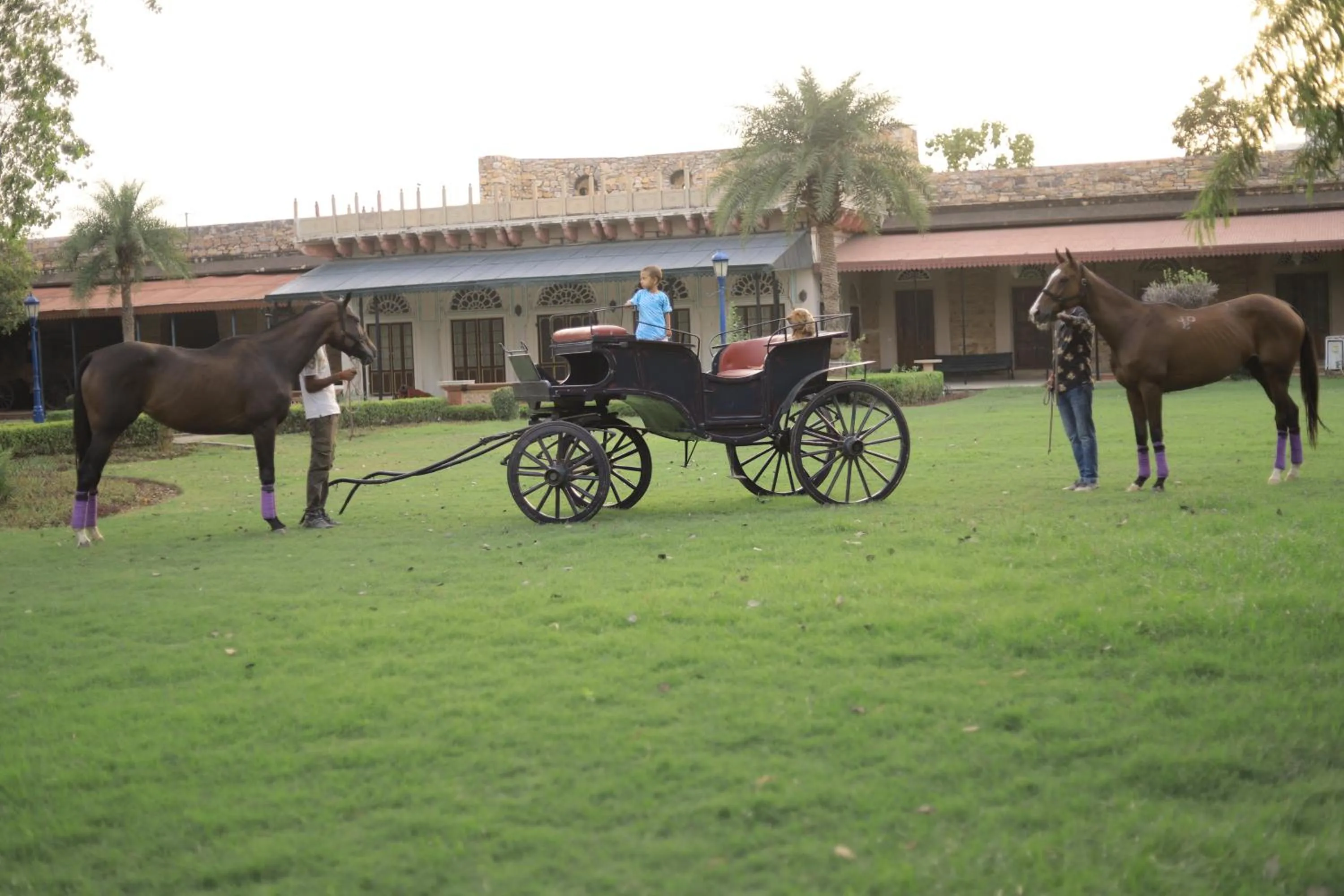 Day in Castle Kanota