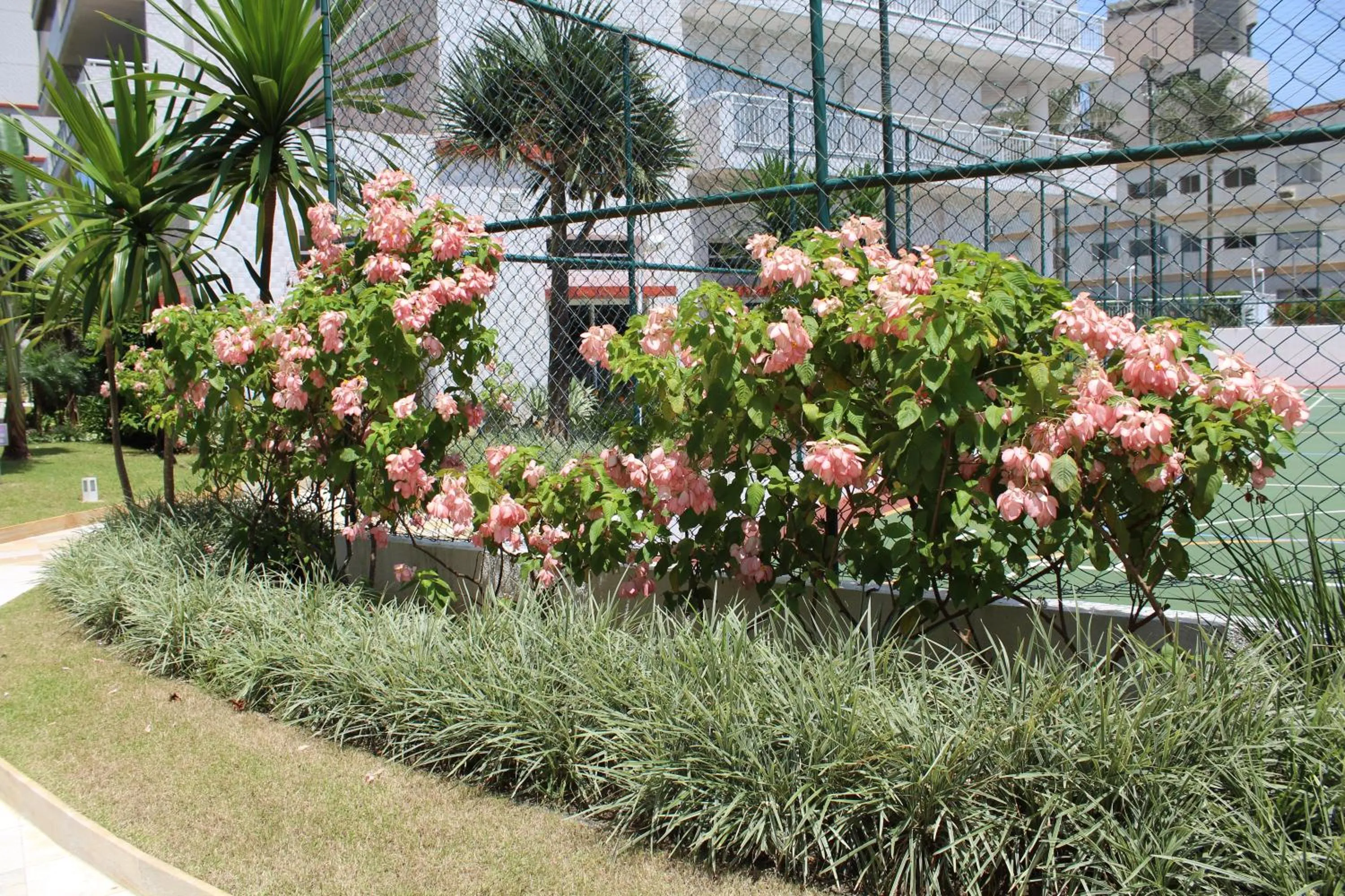 Spring in Apto Vista Mar Com Lazer Total