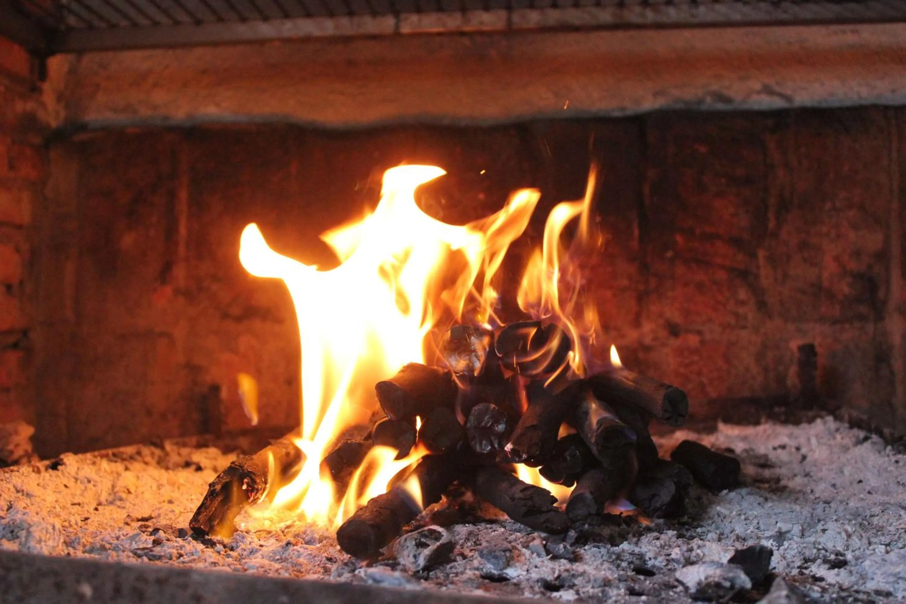 Restaurant/places to eat in Aparta Hotel Azzurra