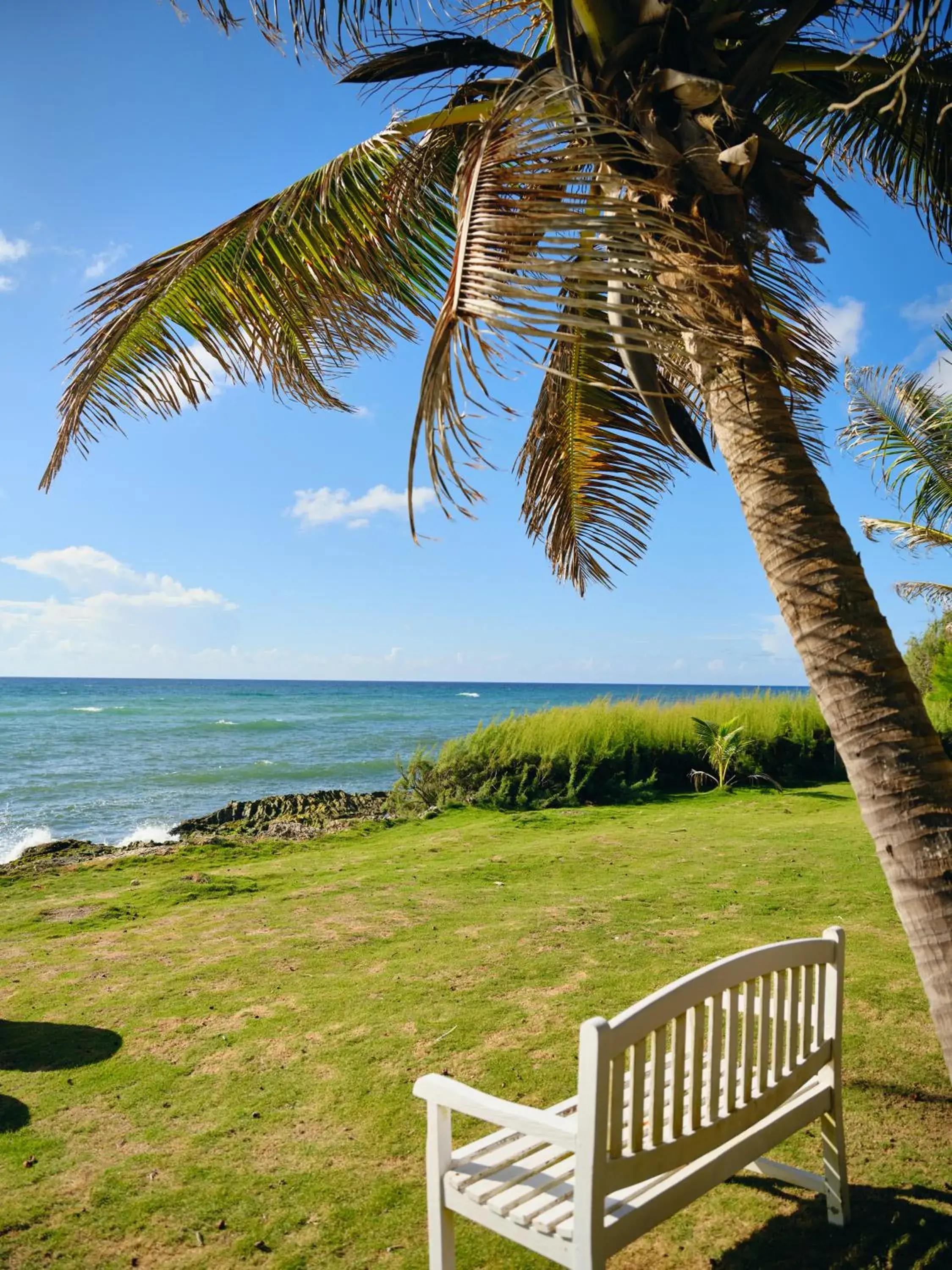 Sea view in Ocean Spray Apartments Sea view in Ocean Spray Apartments