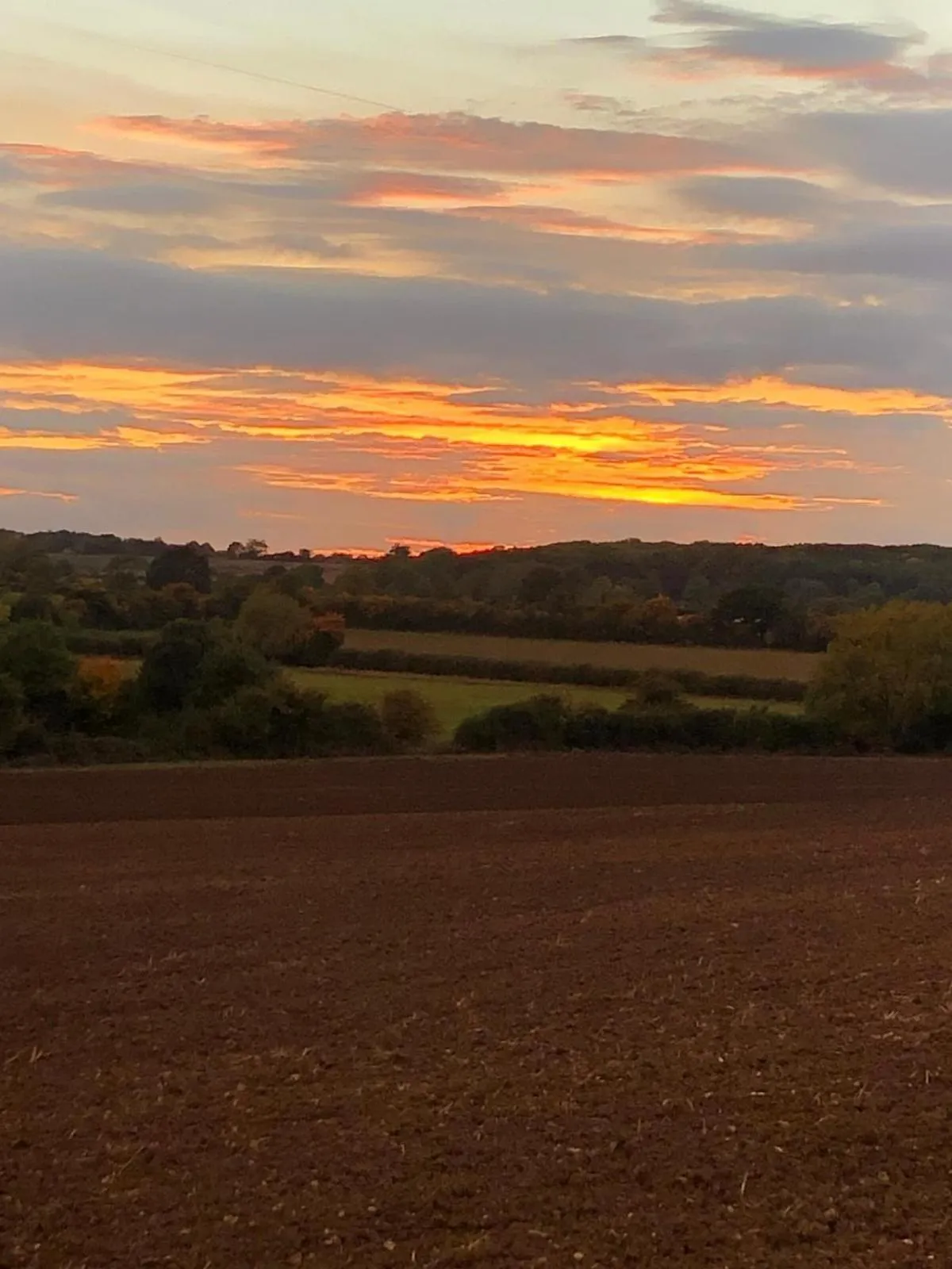 Other in Astwell Mill