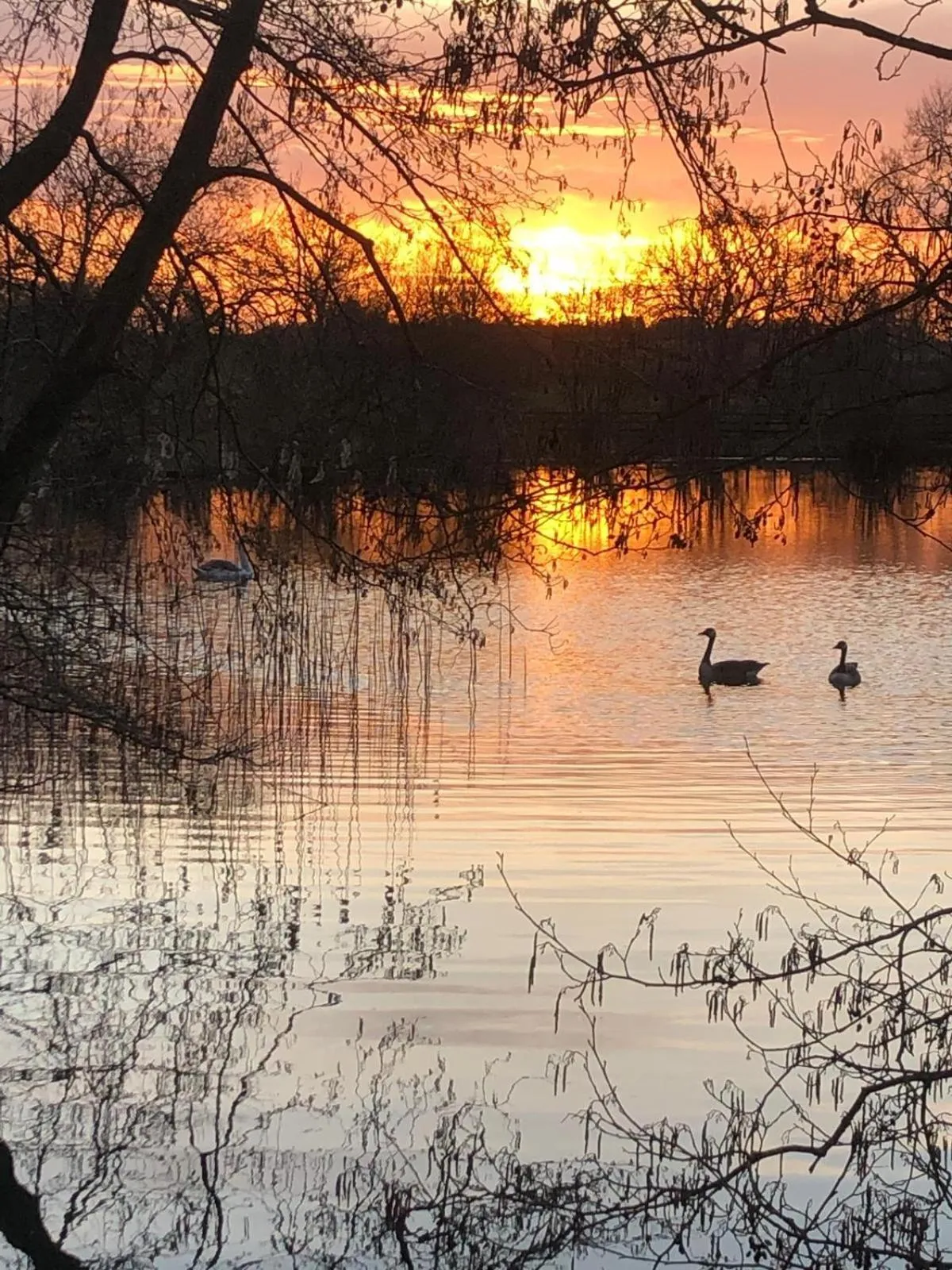 Other in Astwell Mill