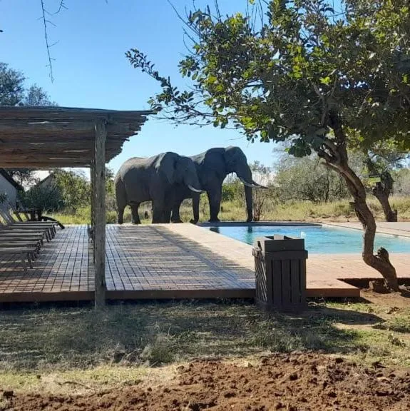 Swimming pool in Honeyguide Tented Safari Camp - Khoka Moya