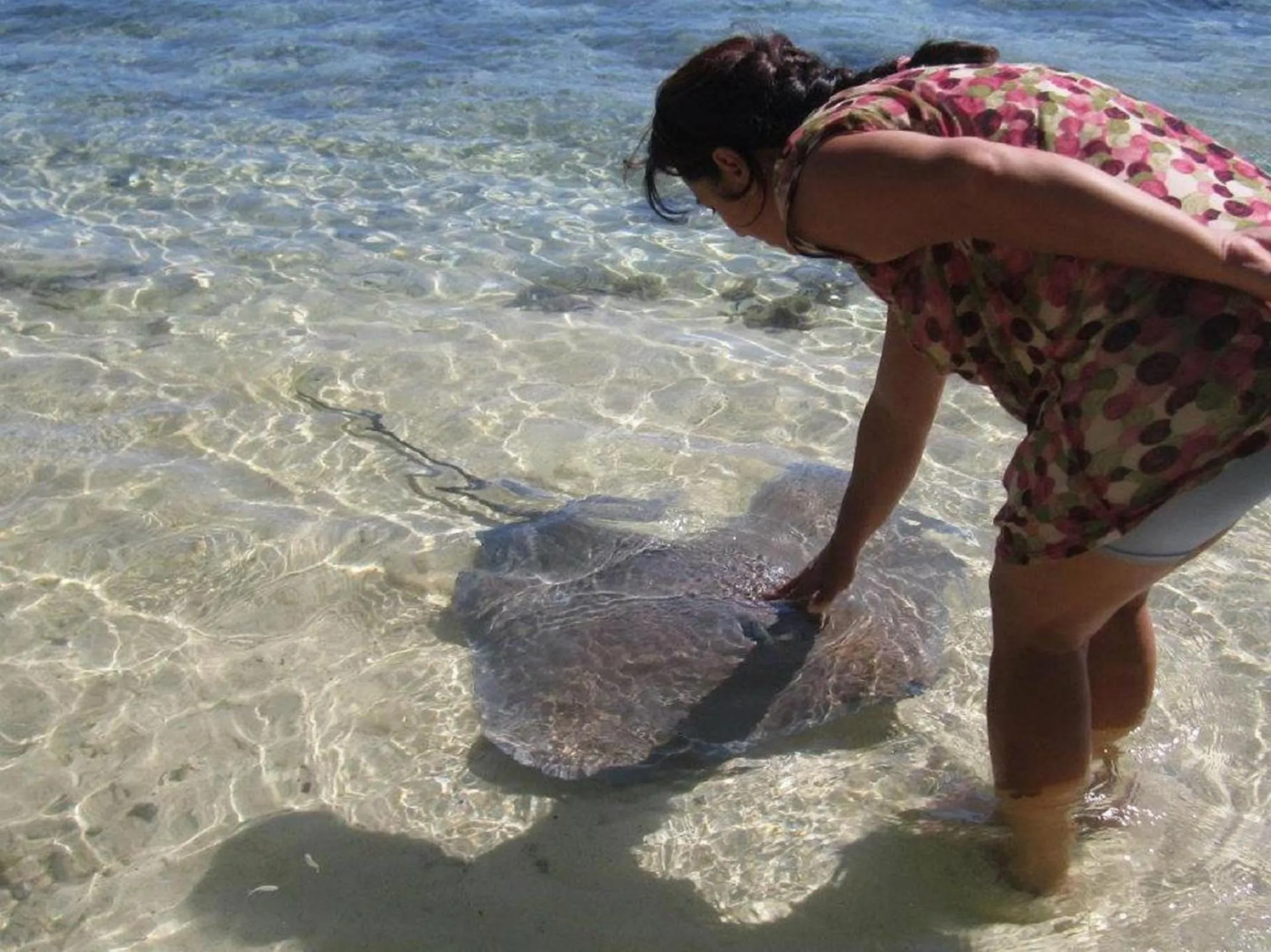 Activities in Fare Maheata