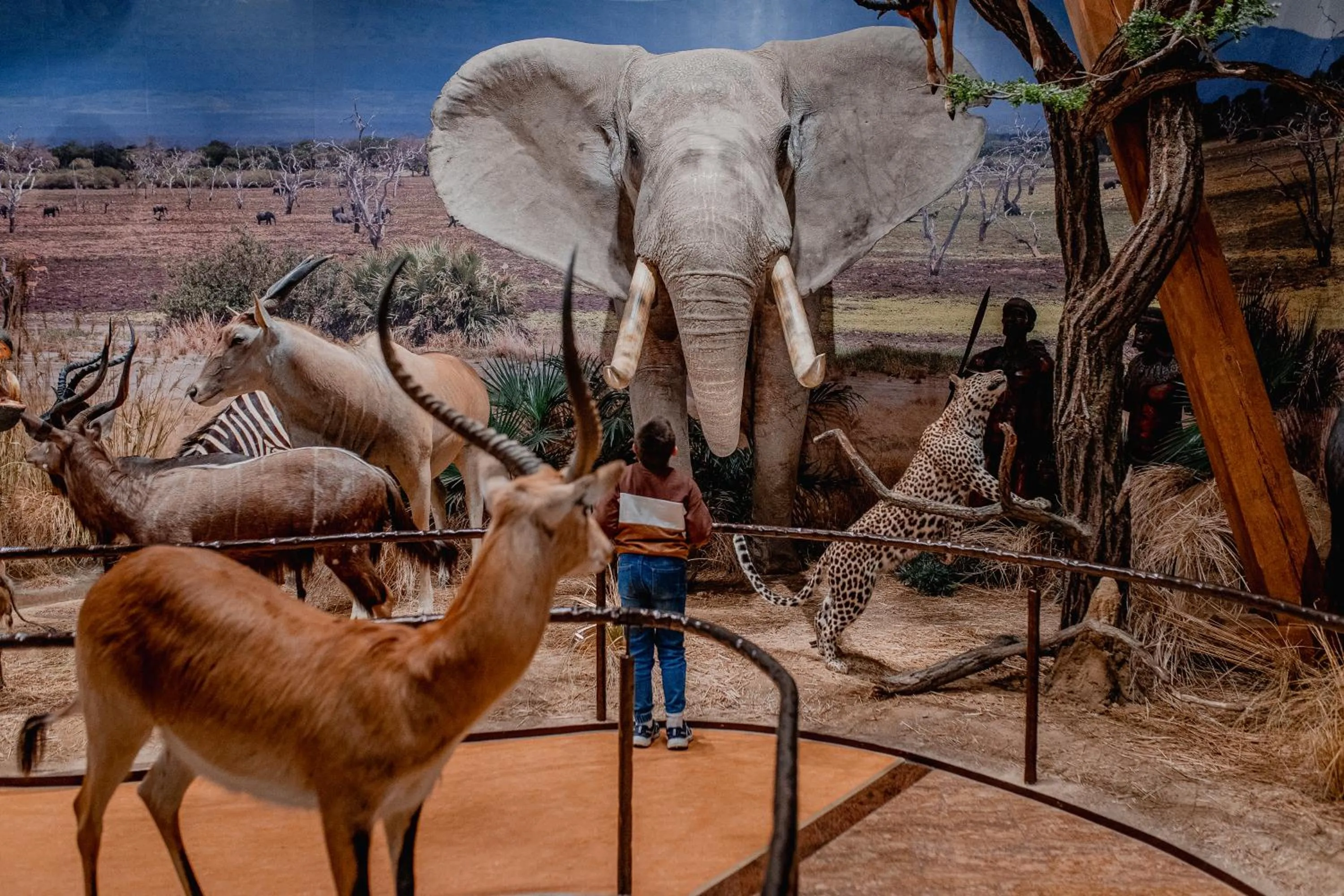 Hotel Pałac Poledno