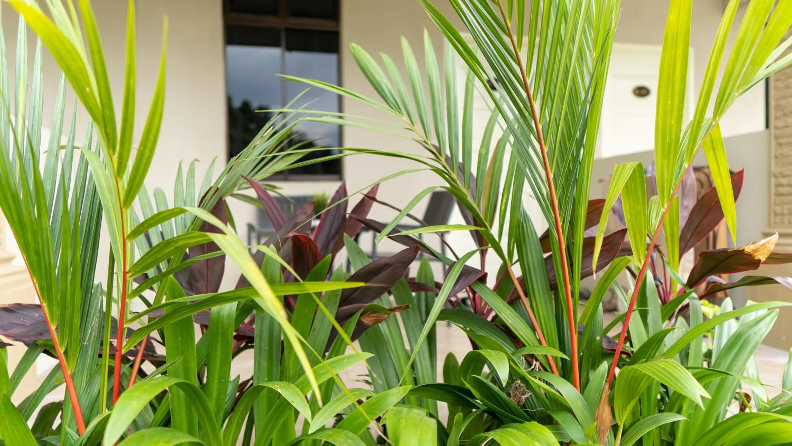 Property building in Pemandangan Indah Guest House - Look Out Point Villa-