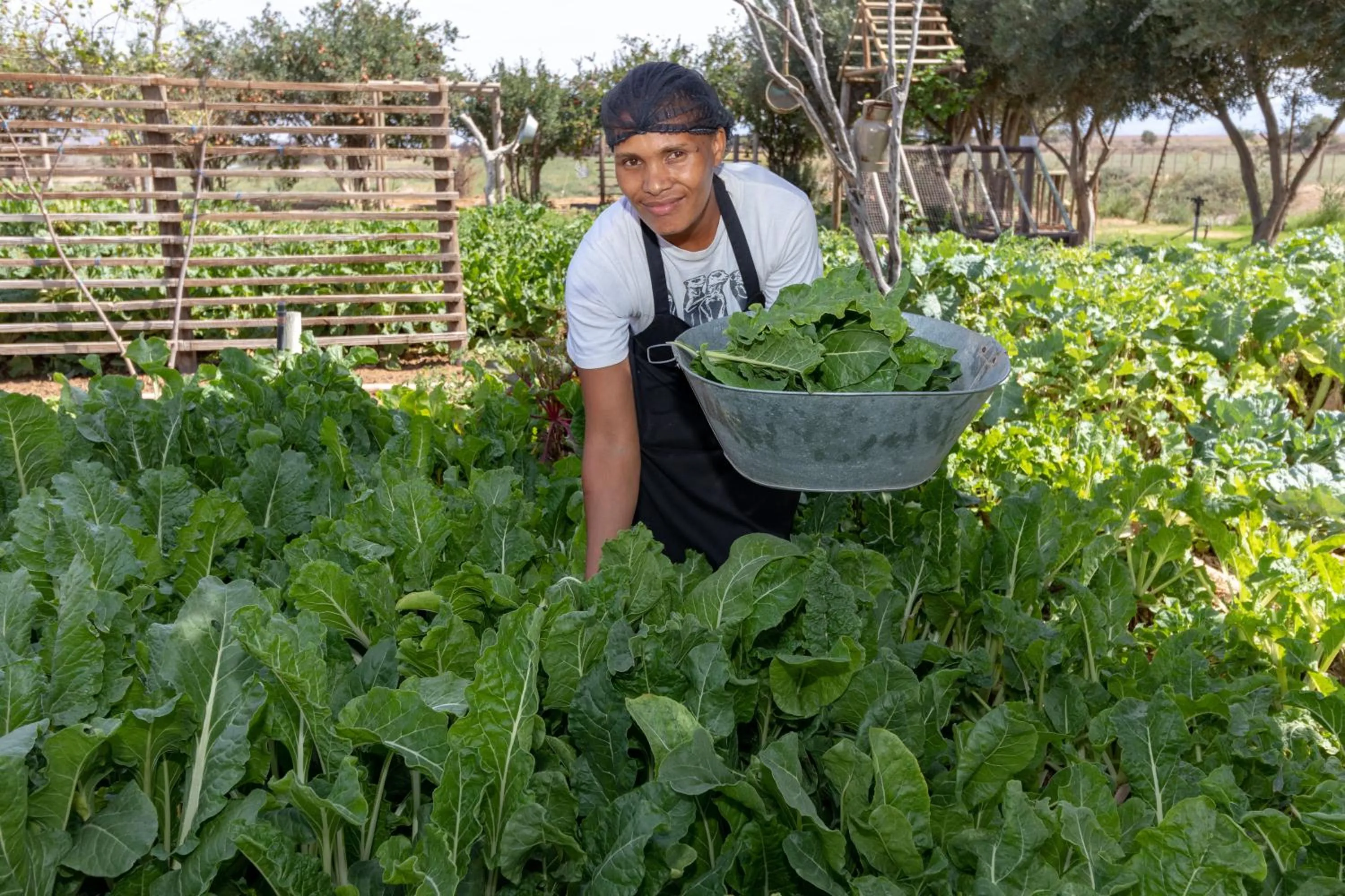 Summer in De Zeekoe Guest Farm