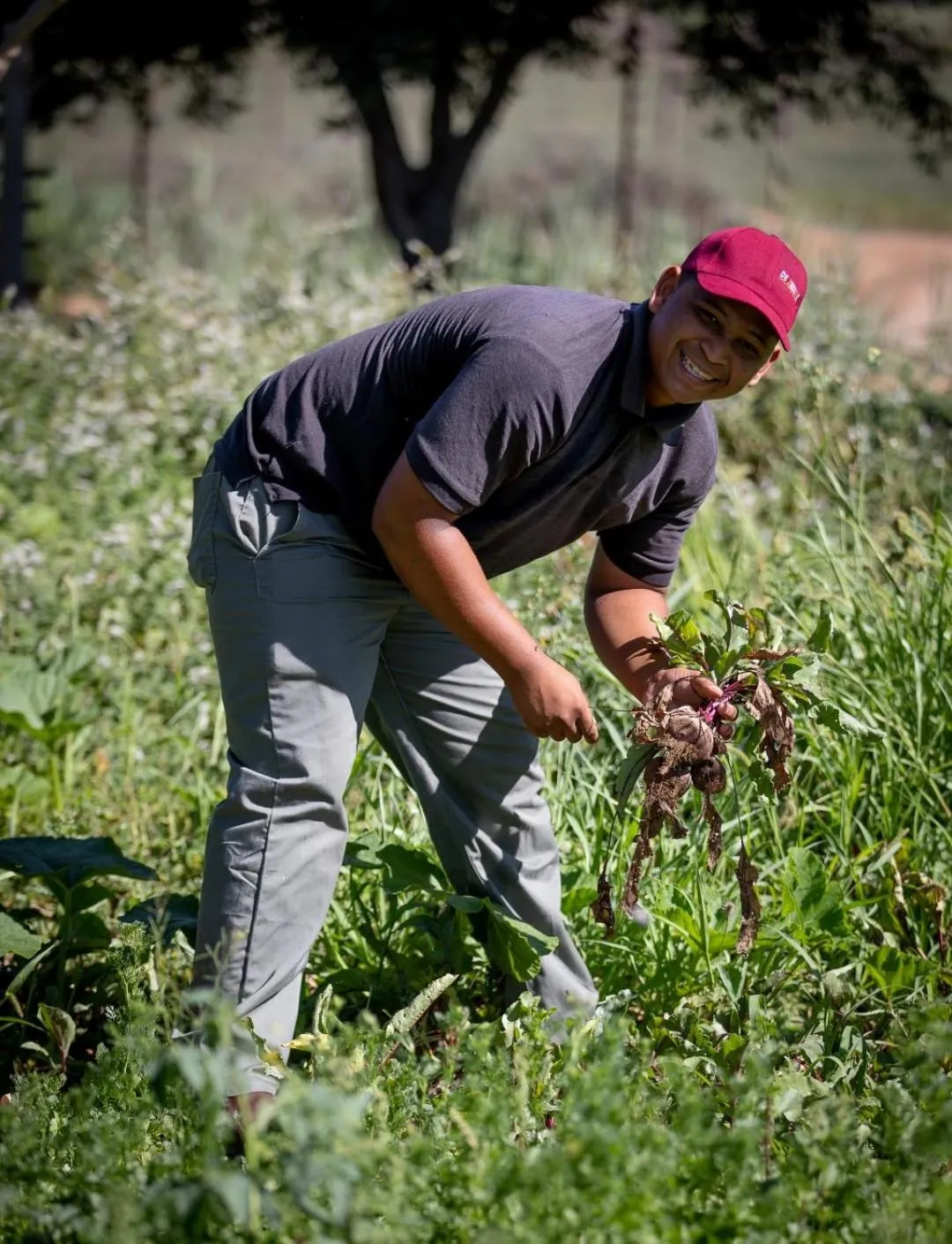 Garden in De Zeekoe Guest Farm