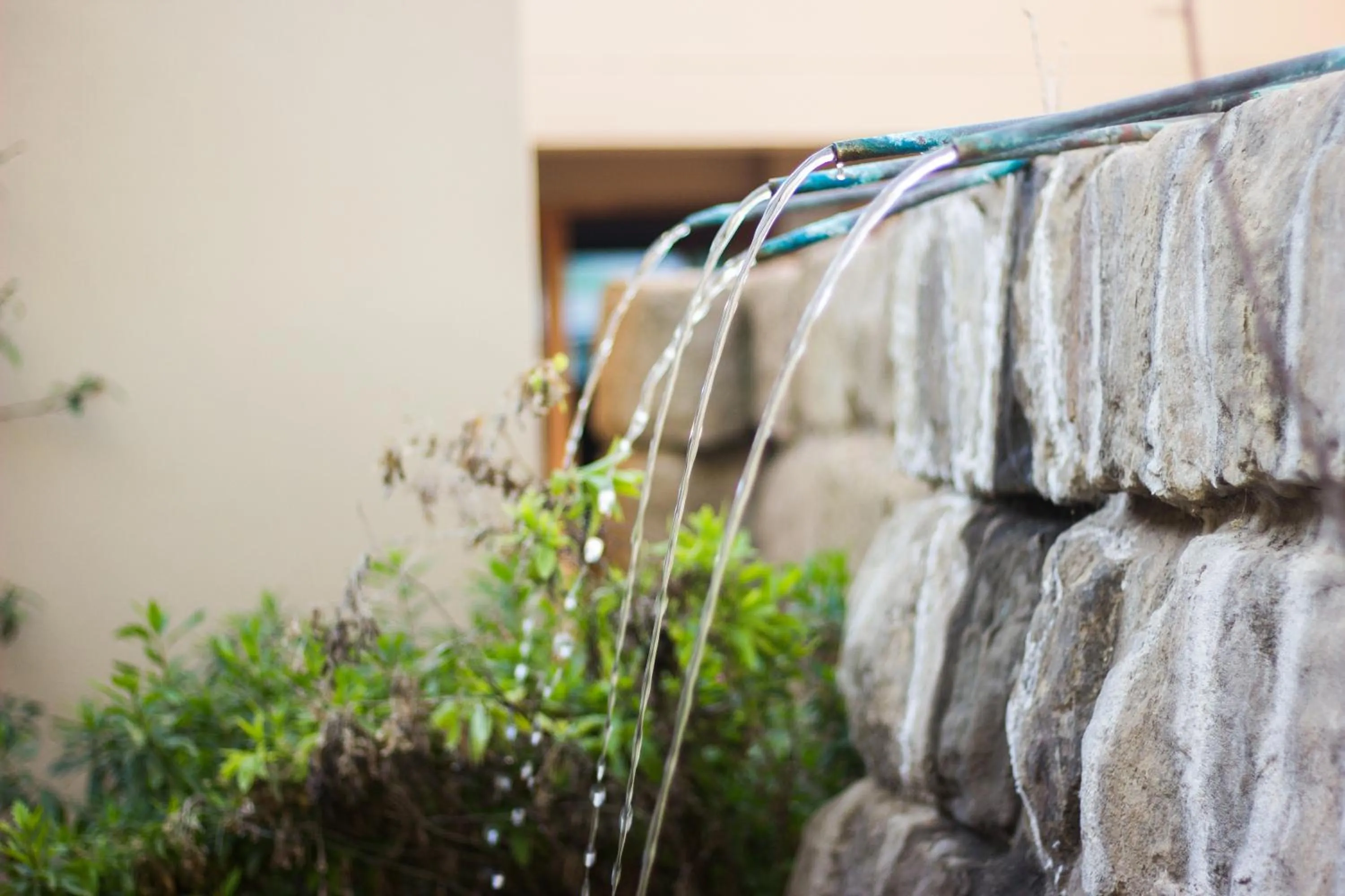 Other in De Zeekoe Guest Farm