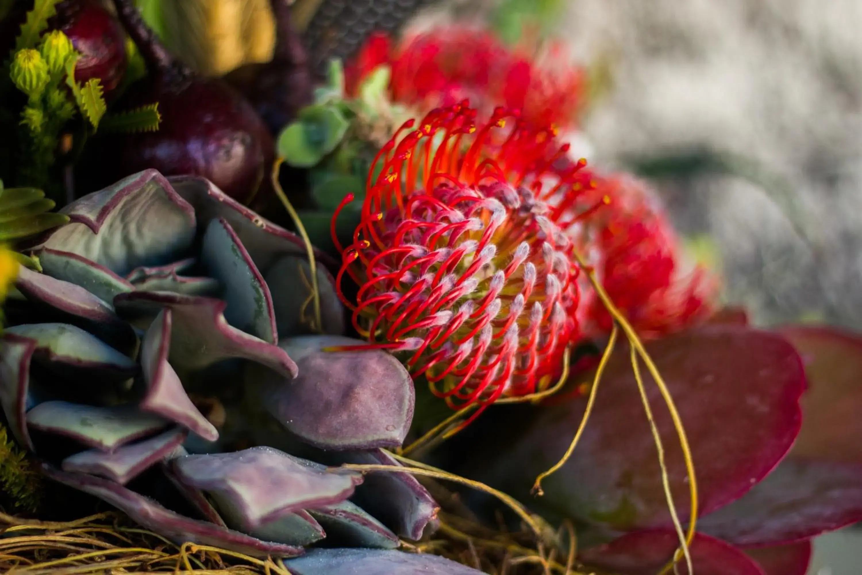 View (from property/room) in De Zeekoe Guest Farm View (from property/room) in De Zeekoe Guest Farm