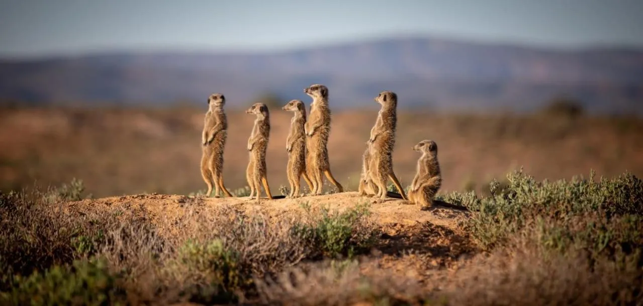 Activities in De Zeekoe Guest Farm