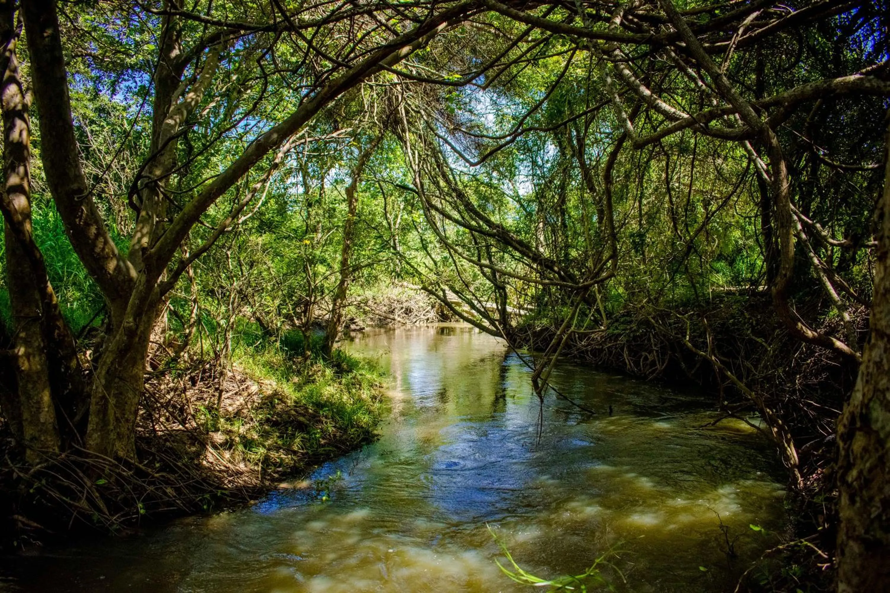 Natural landscape in Amaara Forest Hotel Sigiriya