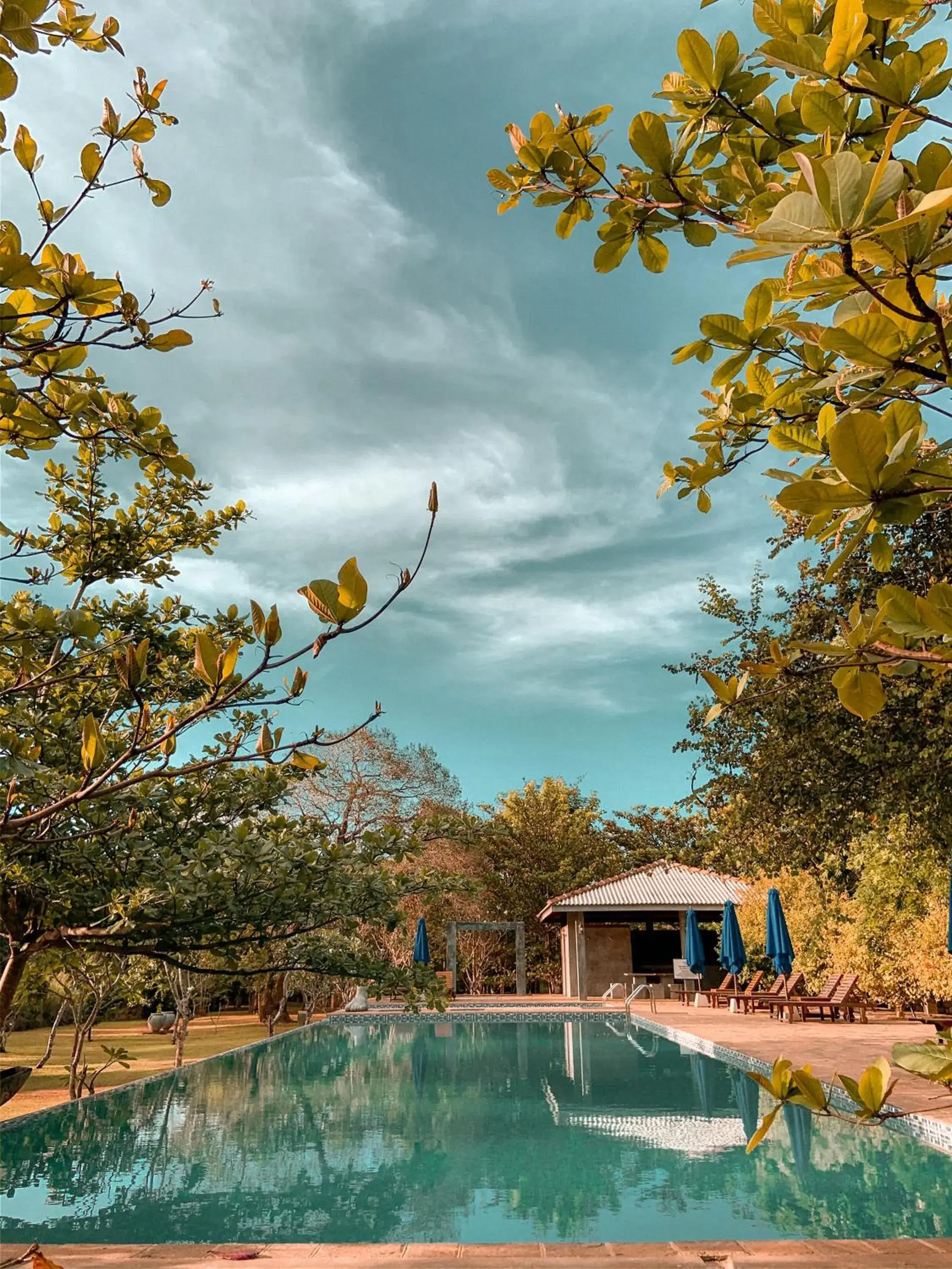 Swimming pool in Amaara Forest Hotel Sigiriya Swimming pool in Amaara Forest Hotel Sigiriya
