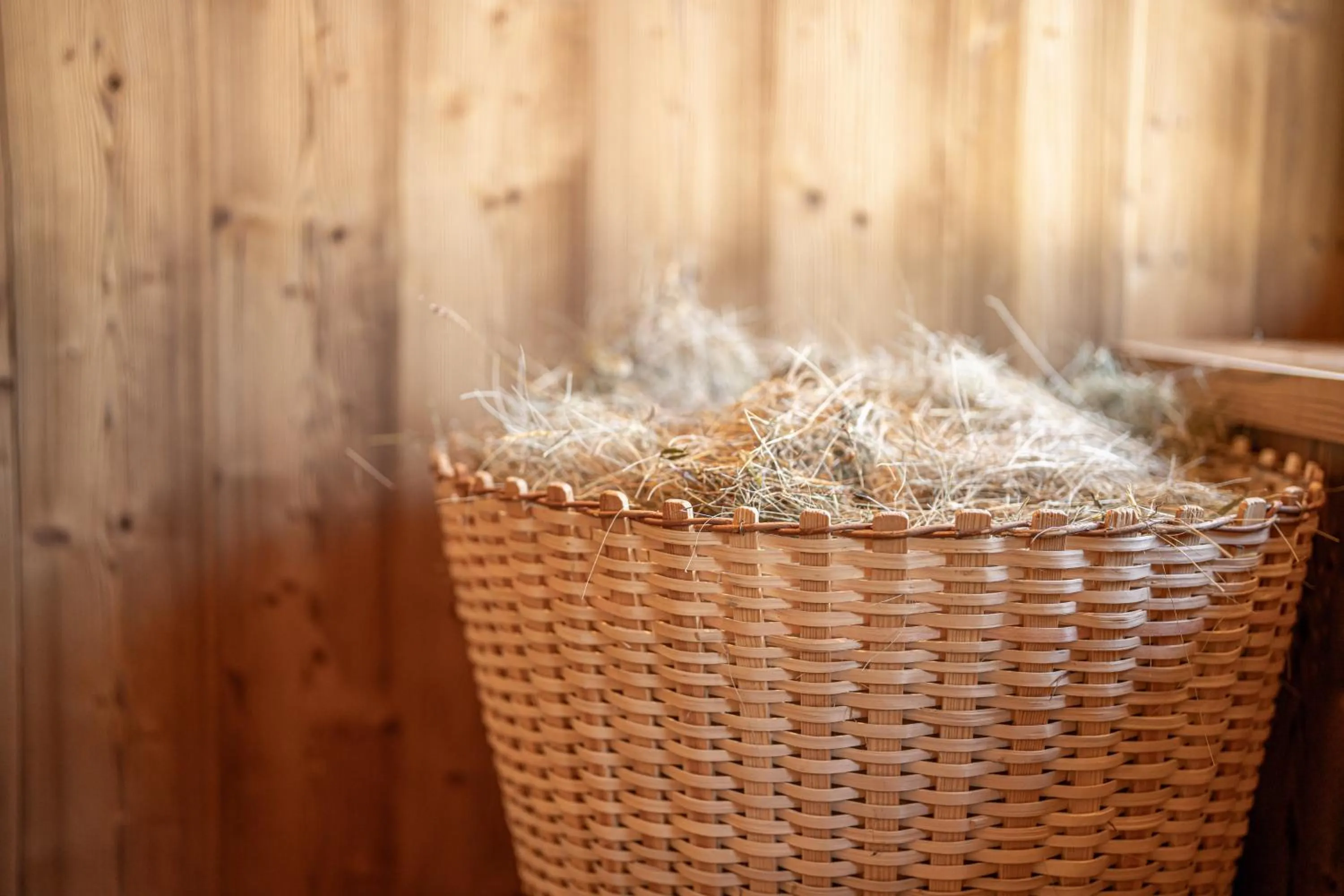 Sauna in Albergo Garni Edy (B&B)