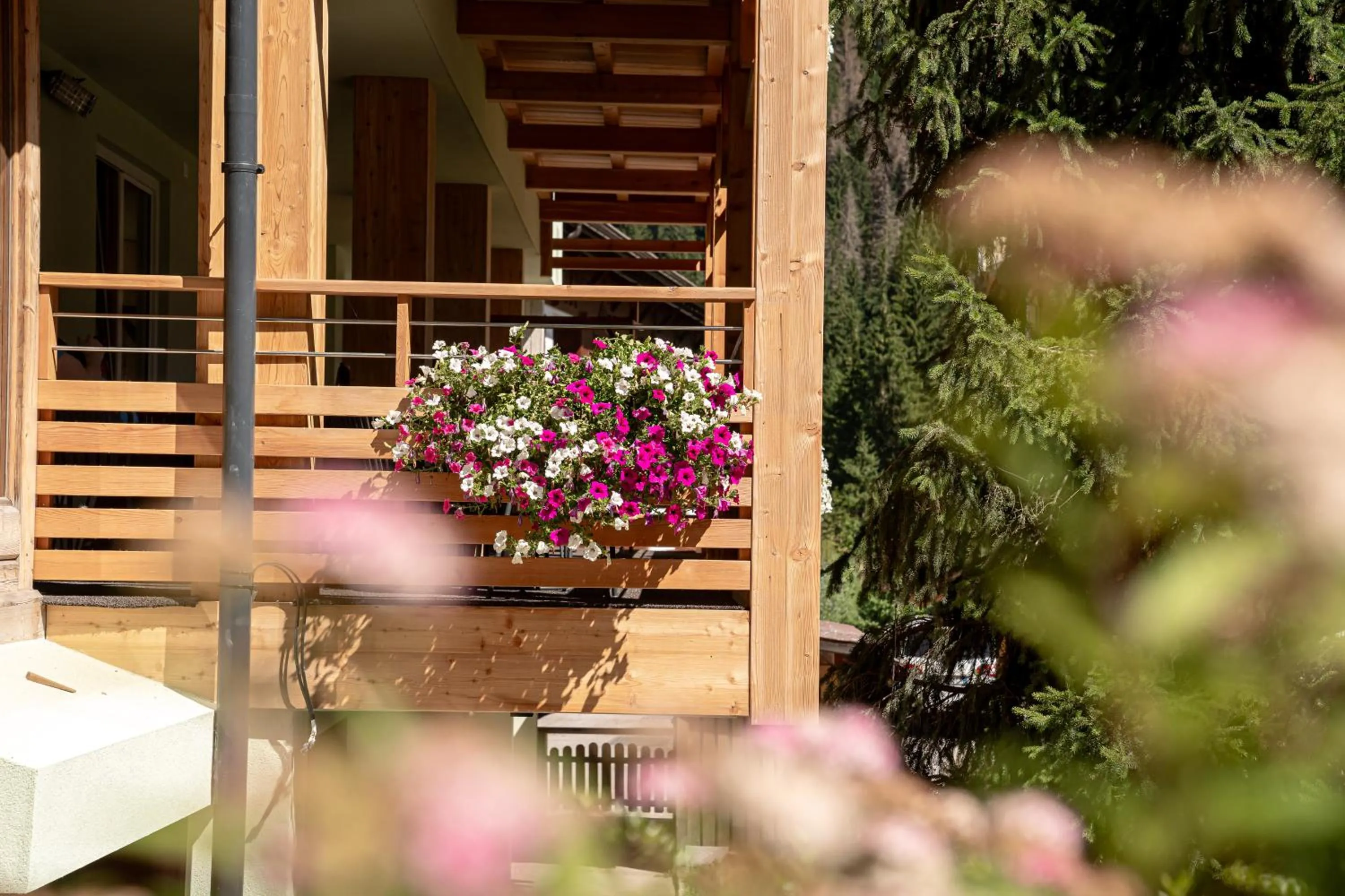 Property building in Albergo Garni Edy (B&B)