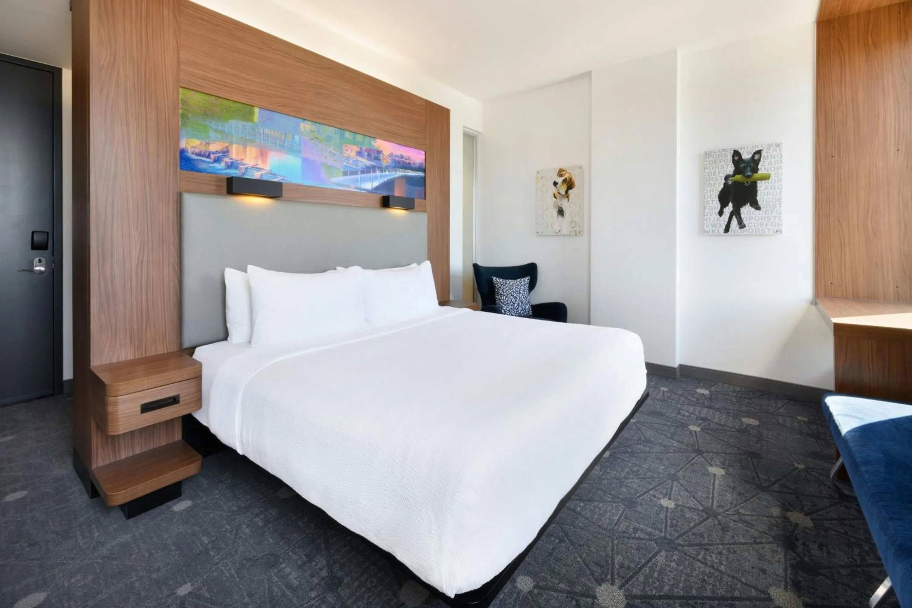 Photo of the whole room, Bed in Aloft Greenville Downtown