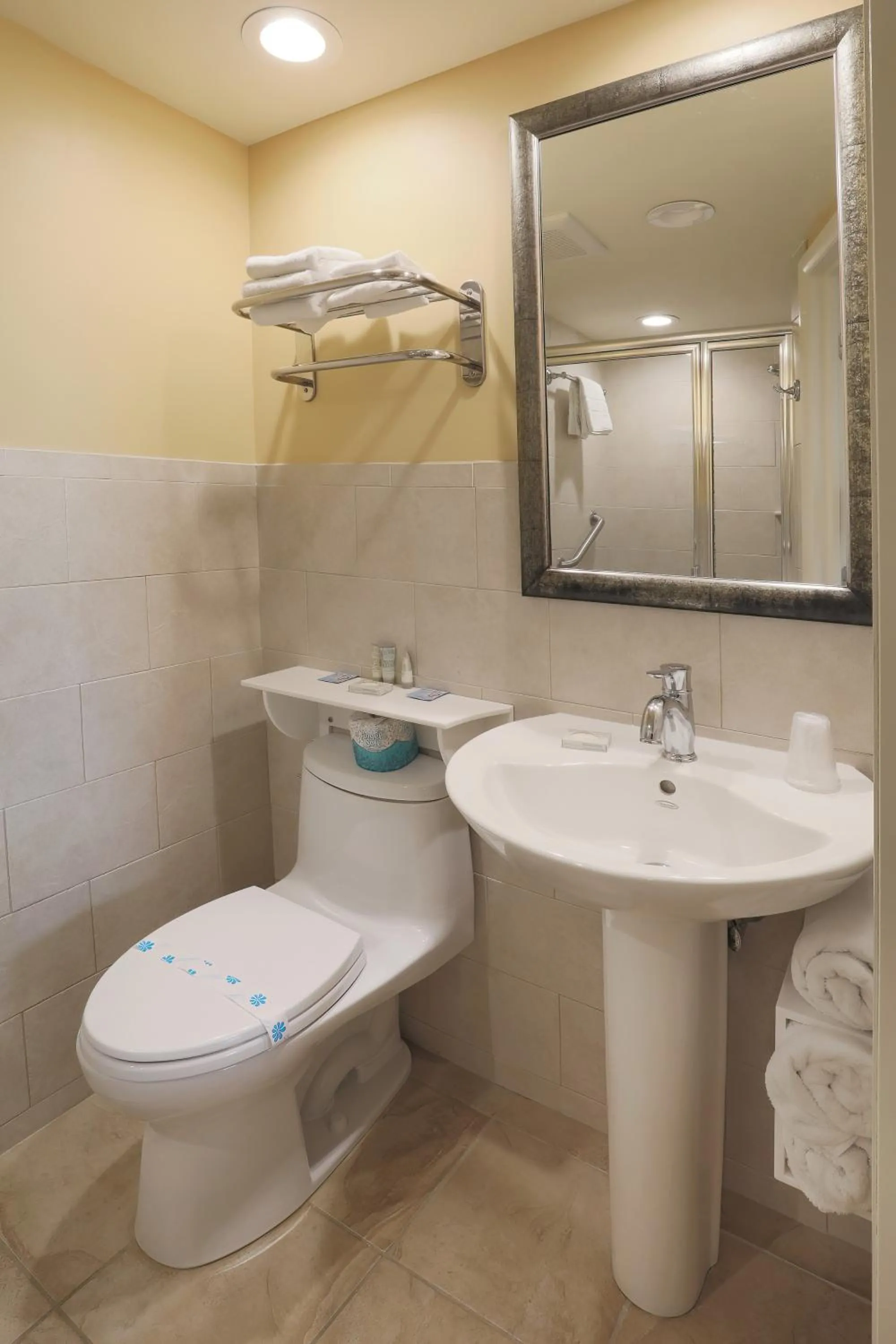 Toilet in Fleur de Lis Beach Motel