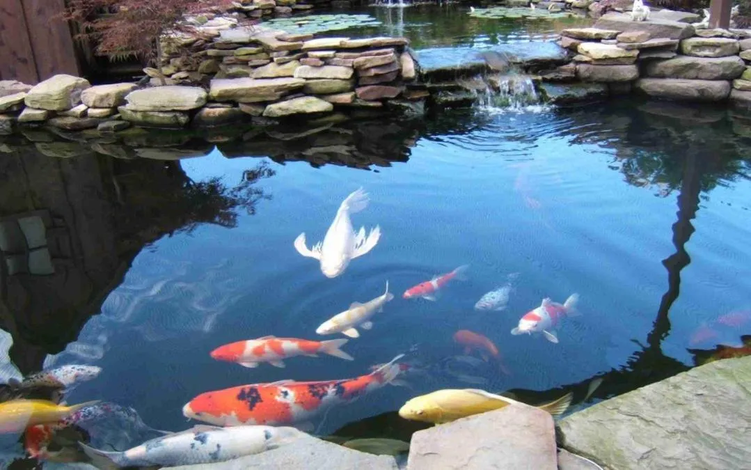 View (from property/room) in Medallion Inn and Suites