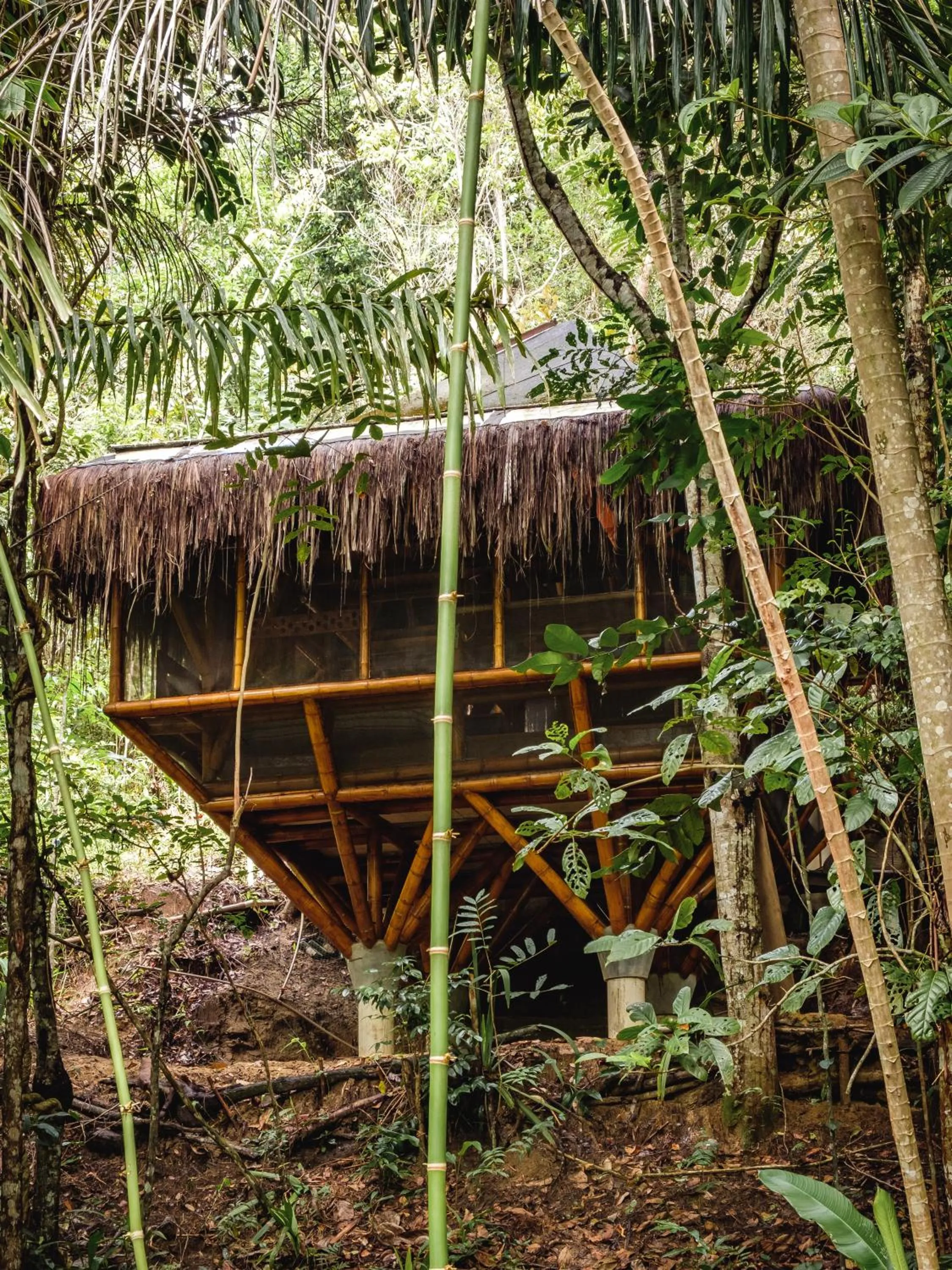 Property building in Universo Pol Bamboo Hostel