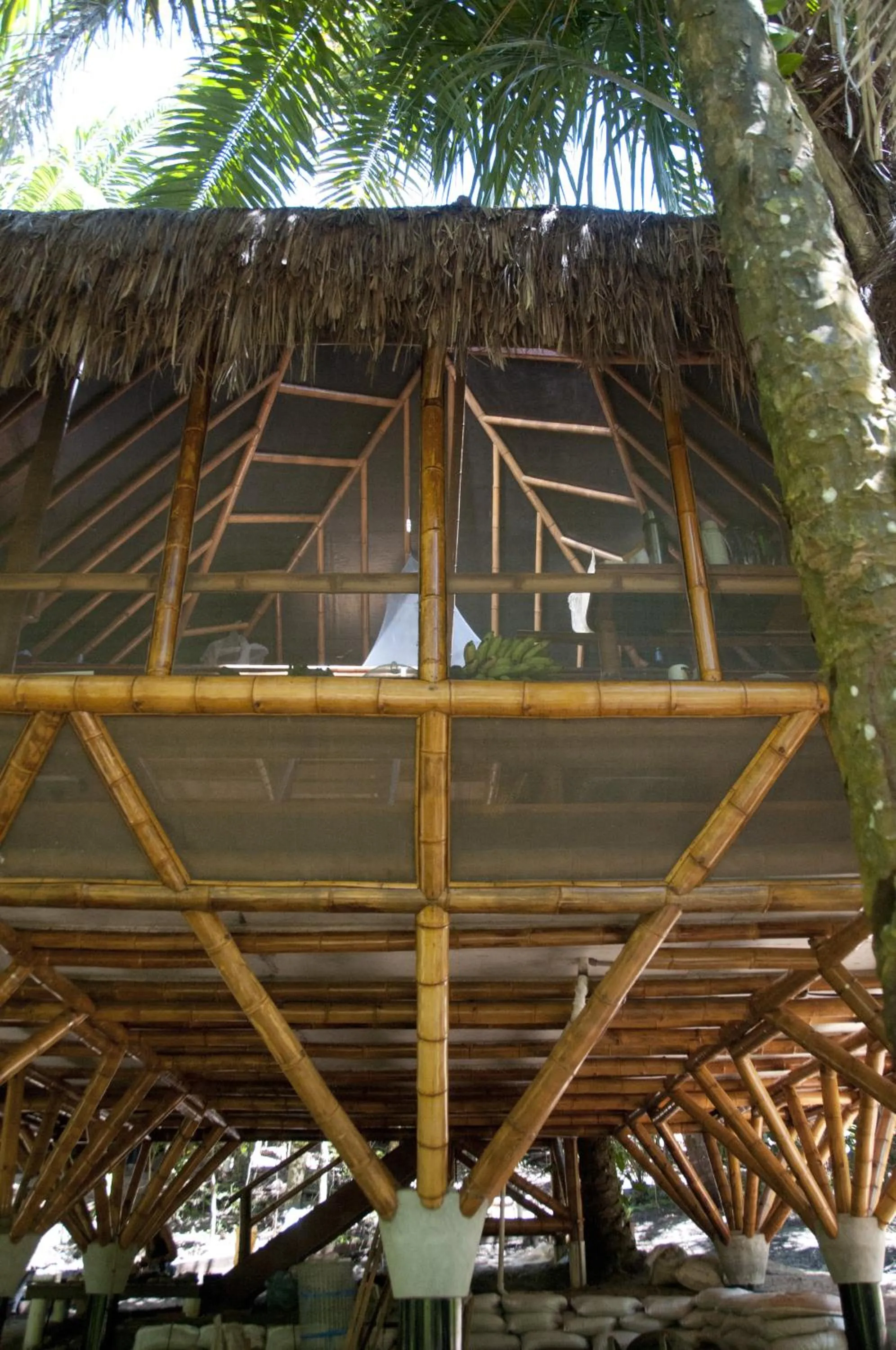 Property building in Universo Pol Bamboo Hostel