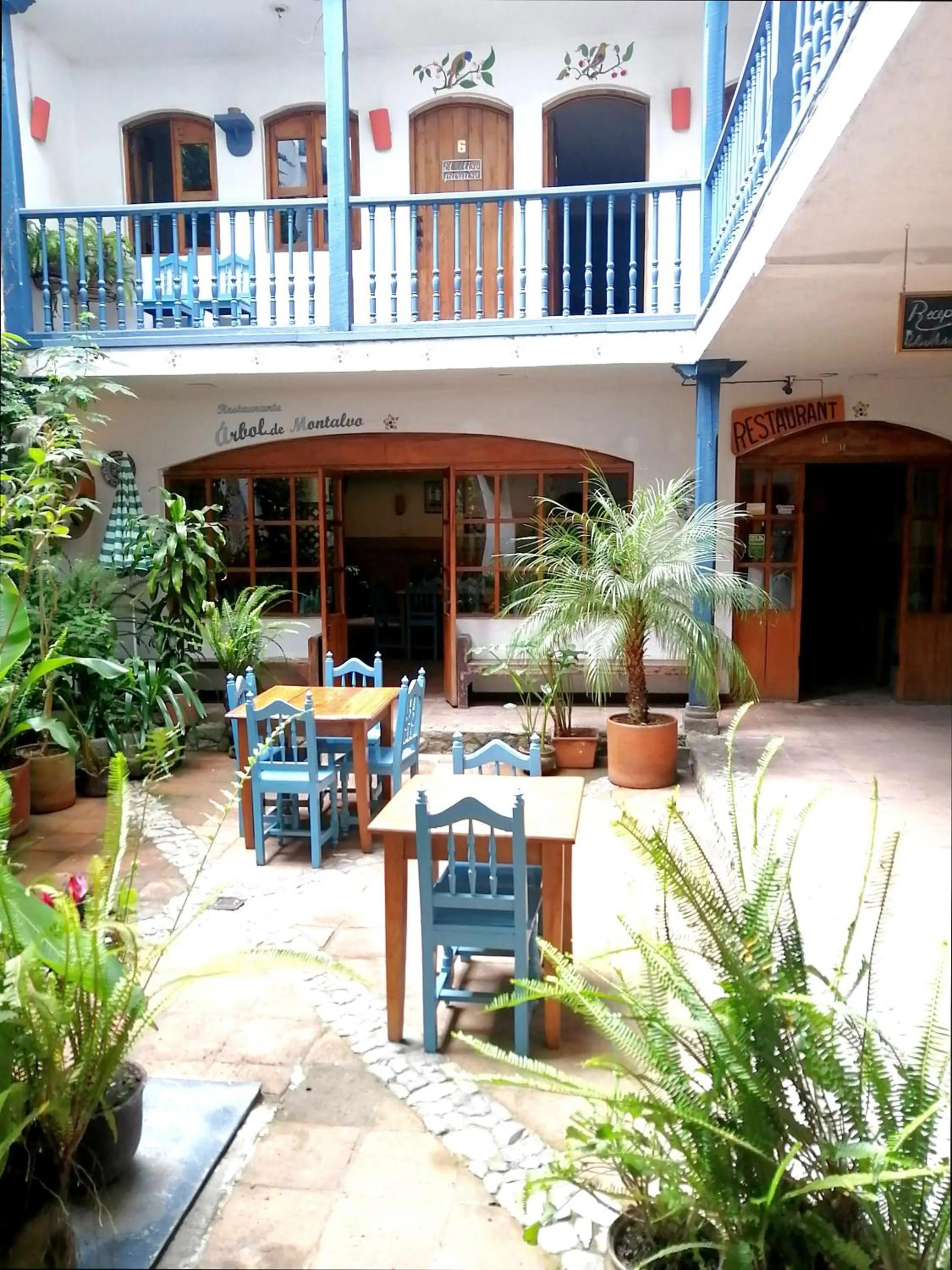 Patio in Hotel Doña Esther